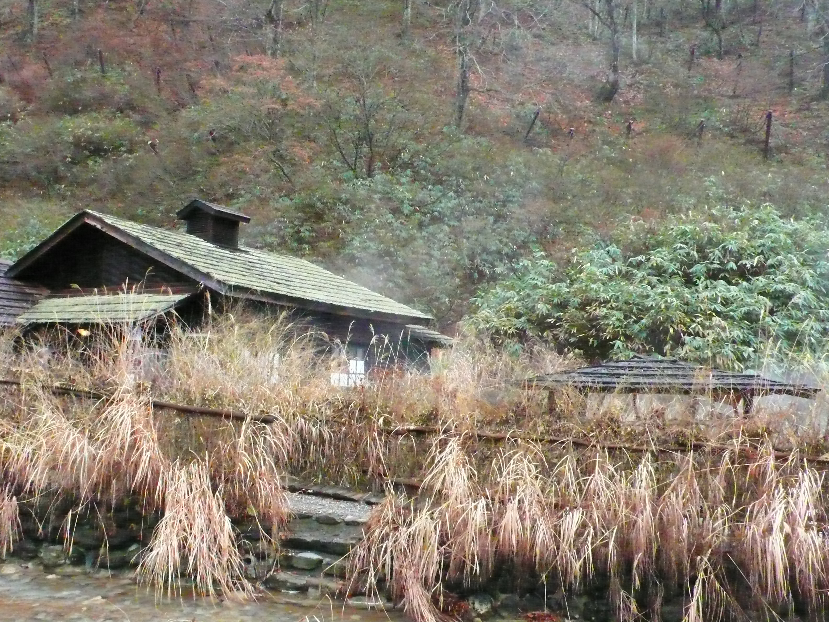 P1050970.JPG