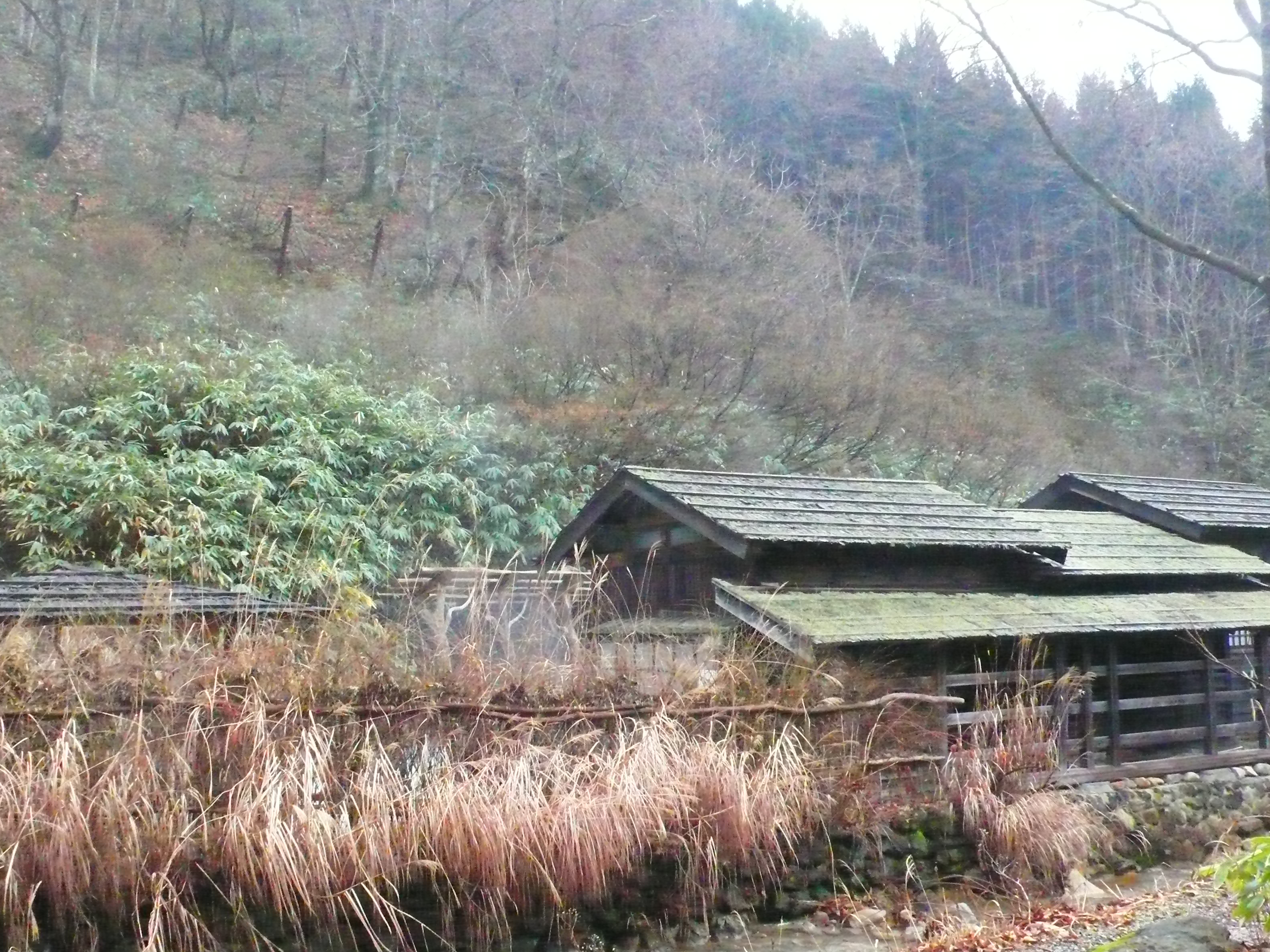 P1050971.JPG
