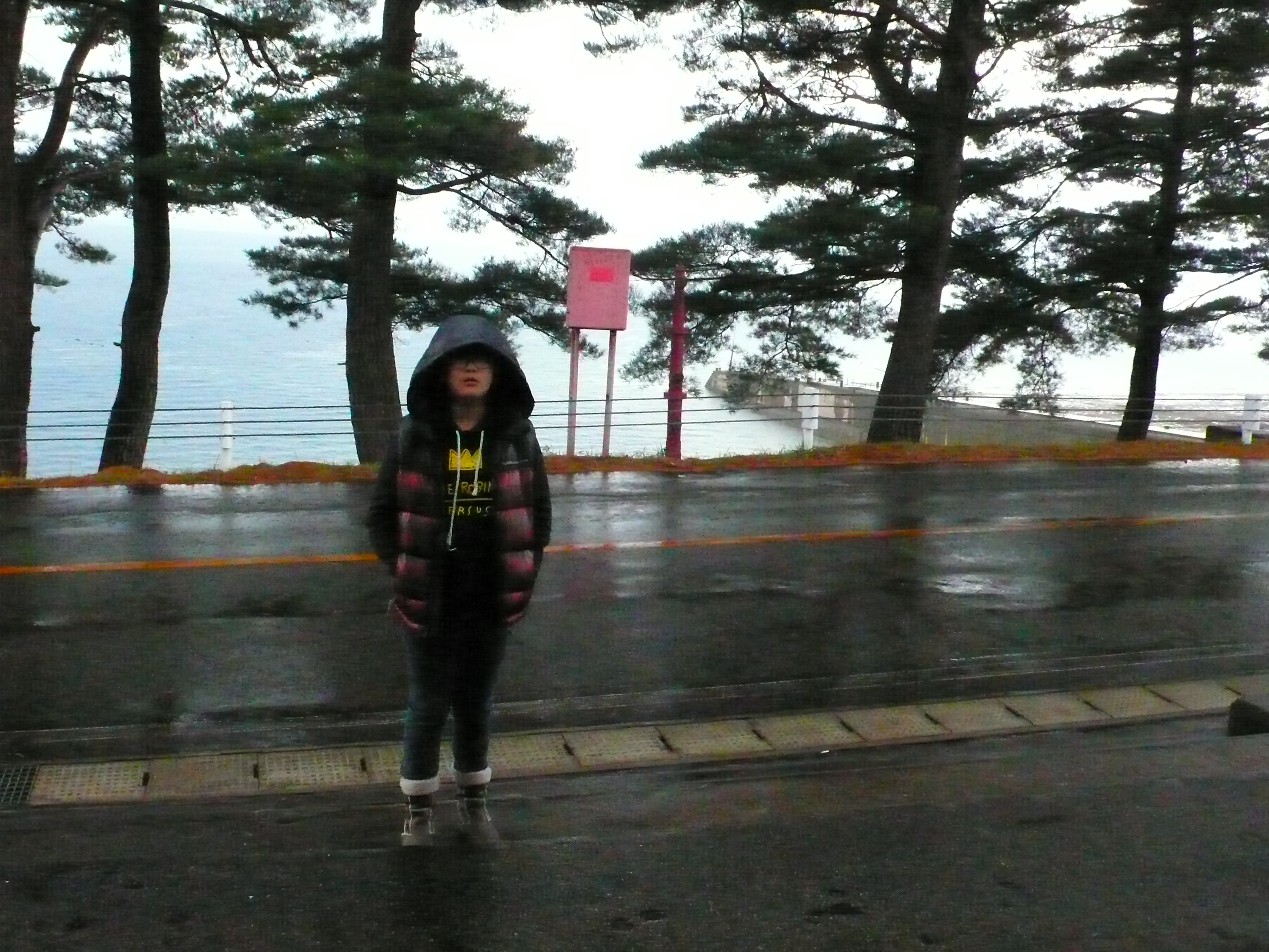 P1060004.JPG