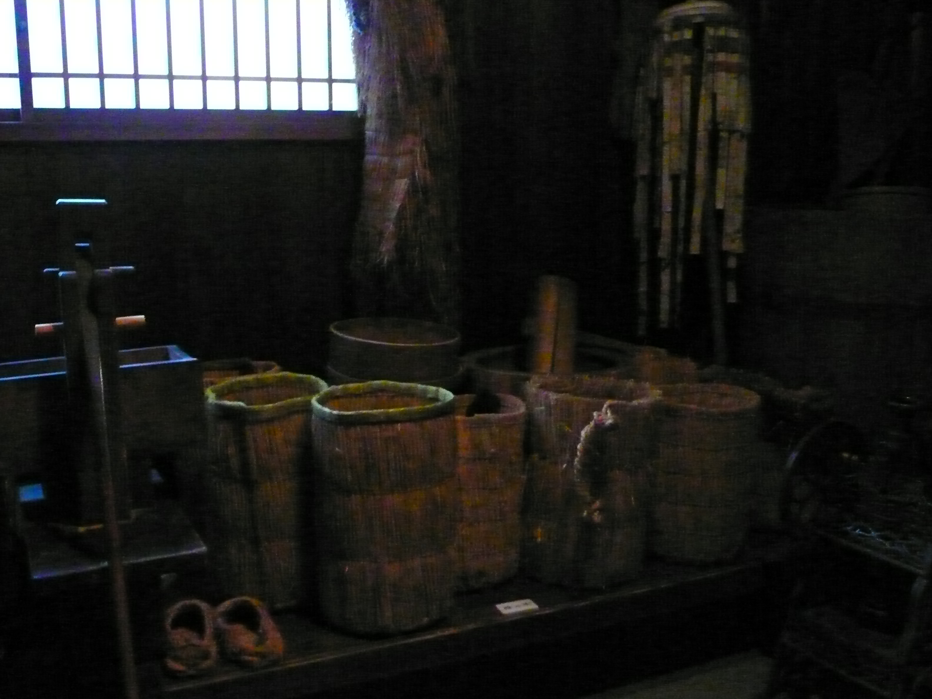 P1060029.JPG