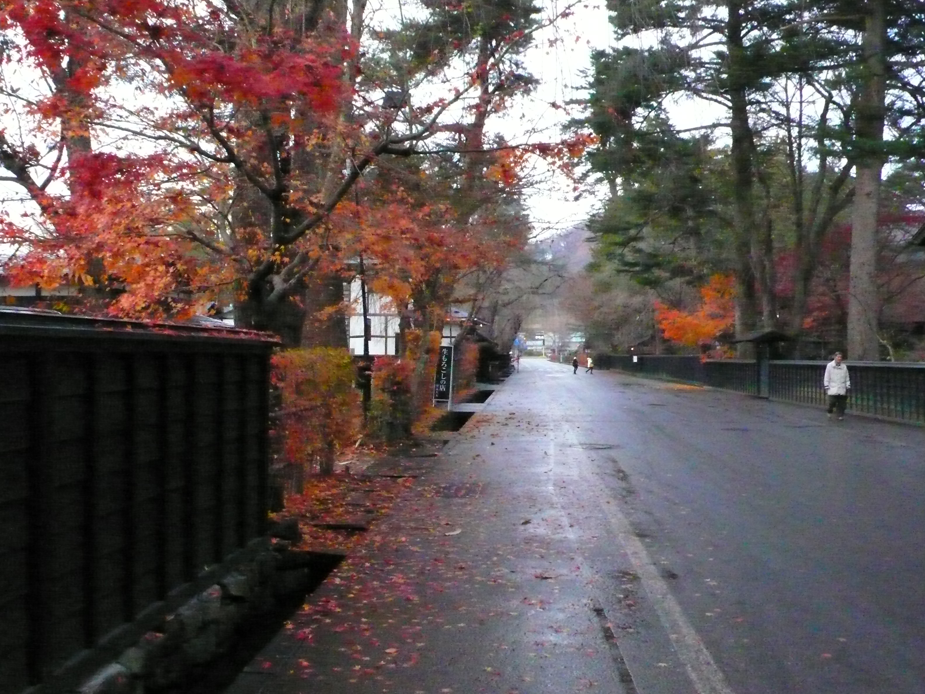 P1060036.JPG