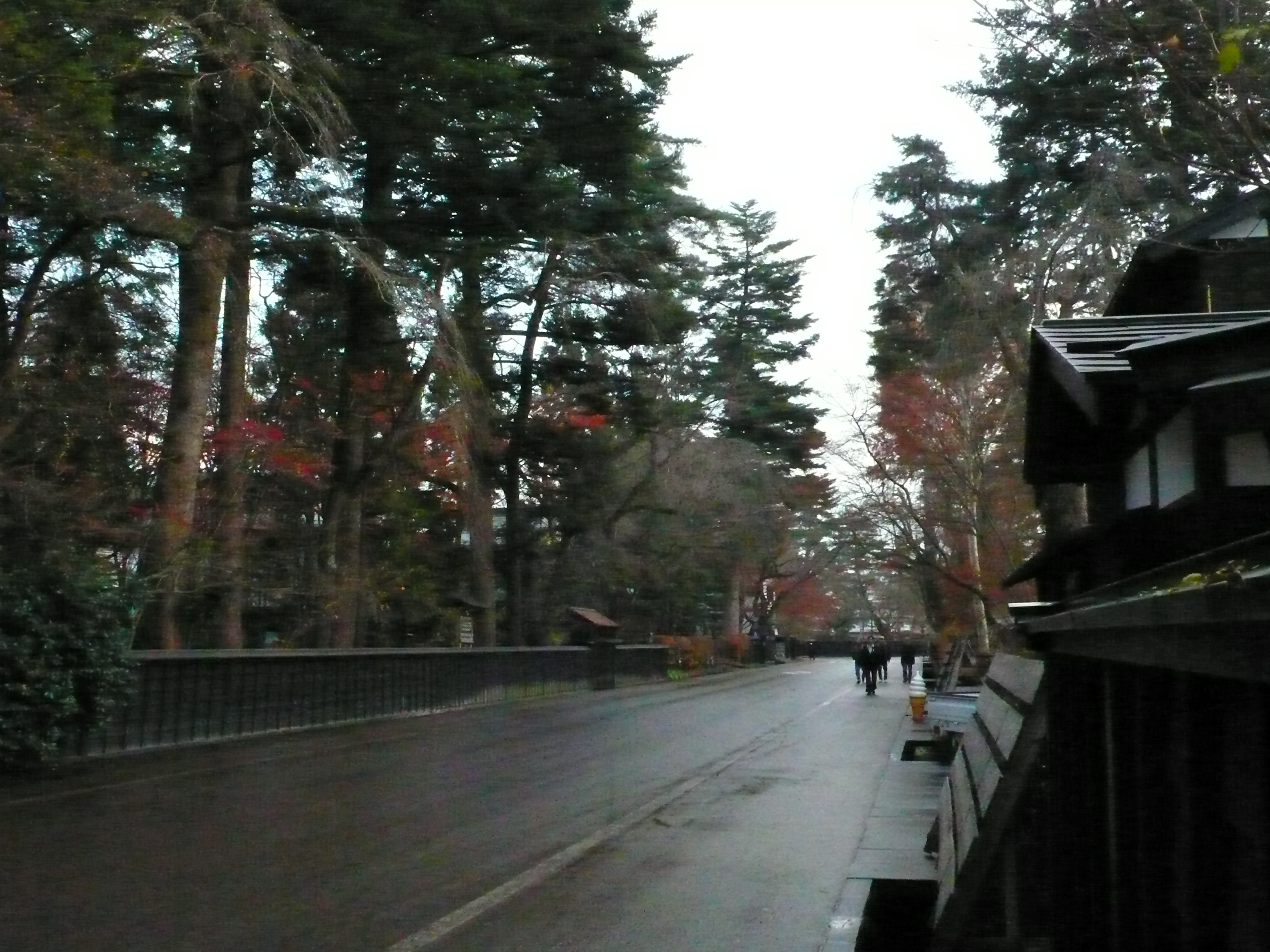 P1060038.JPG