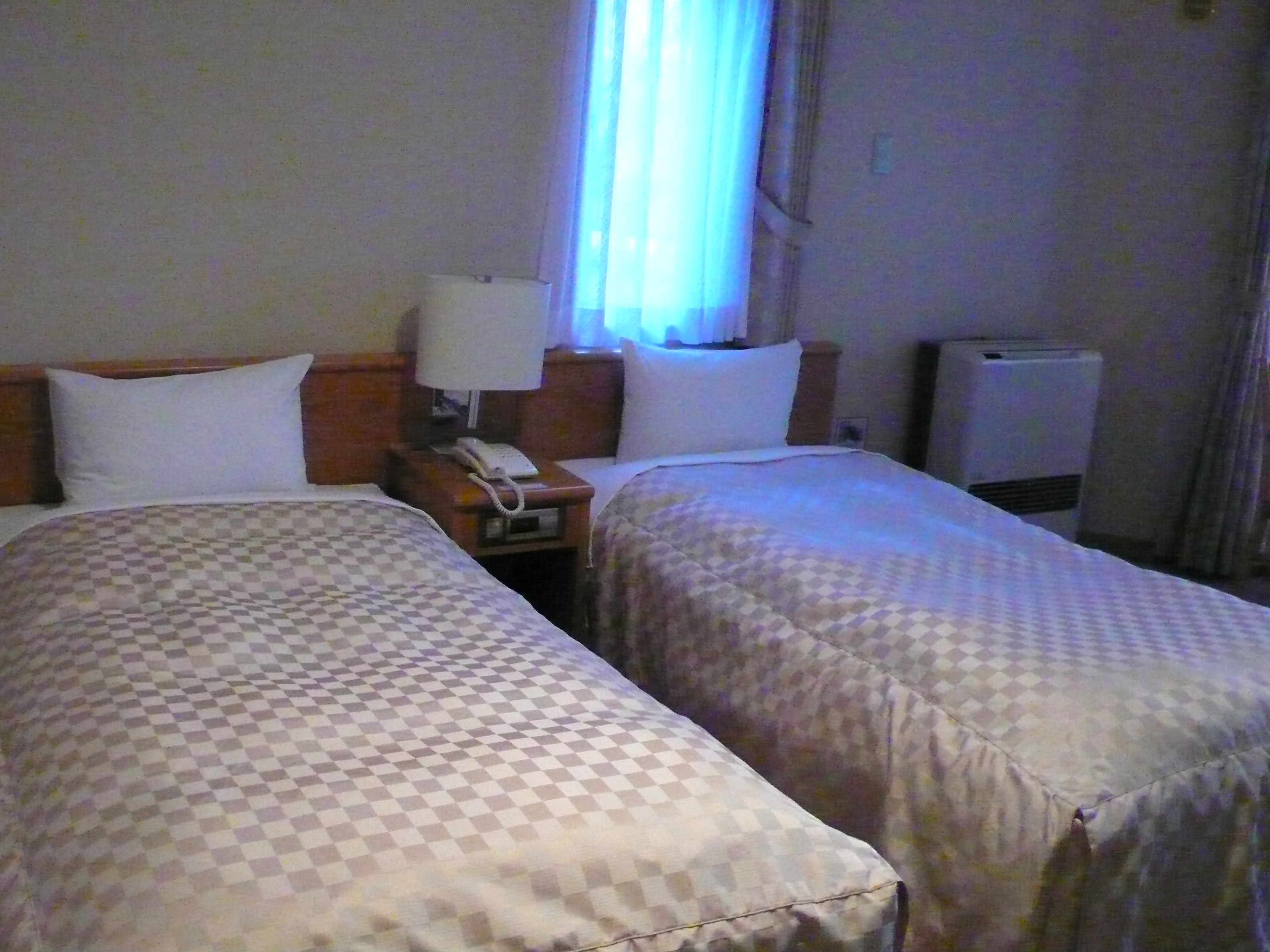 P1060042.JPG