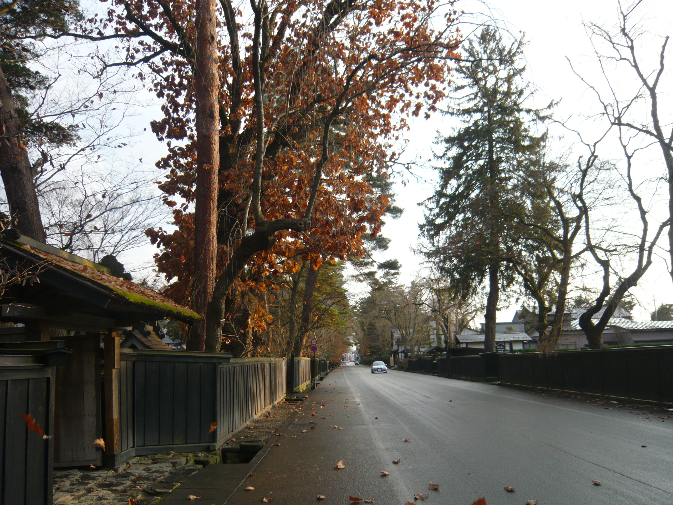 P1070839.JPG