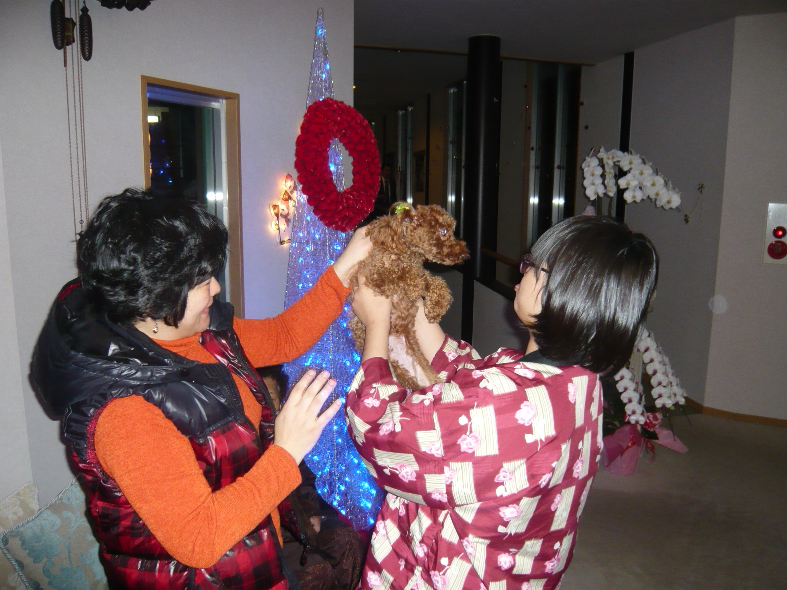 P1070842.JPG