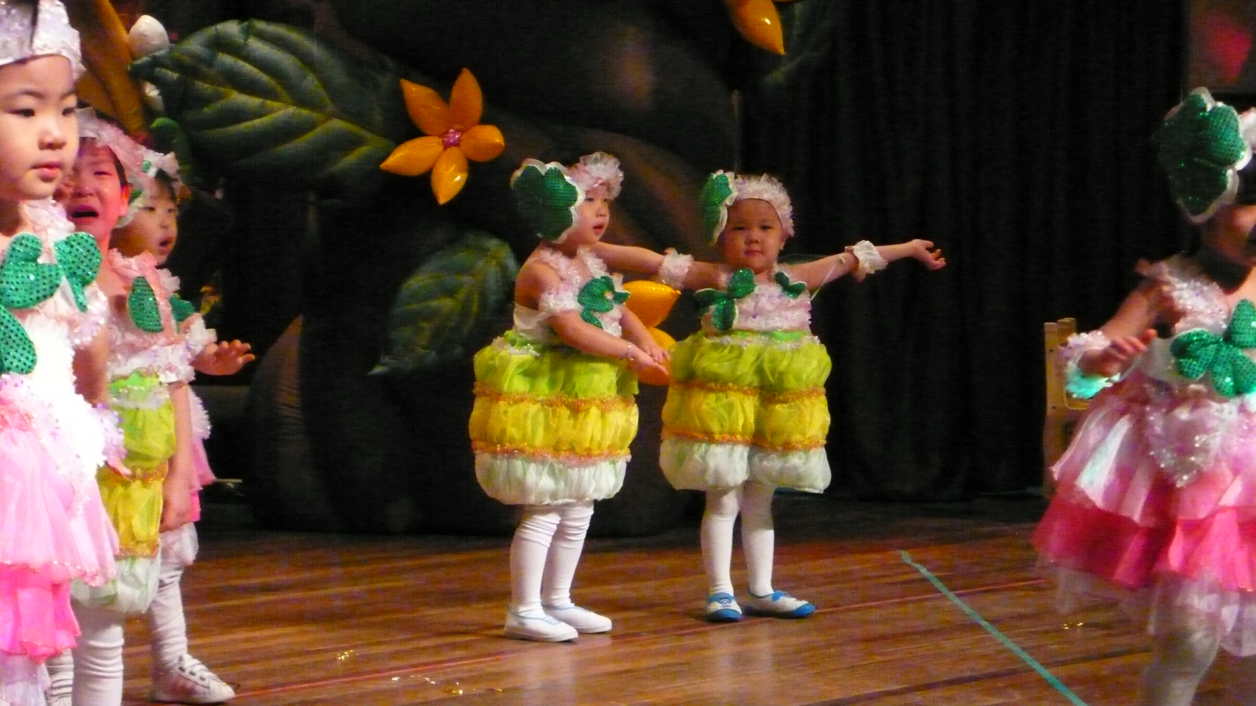 P1060087.JPG
