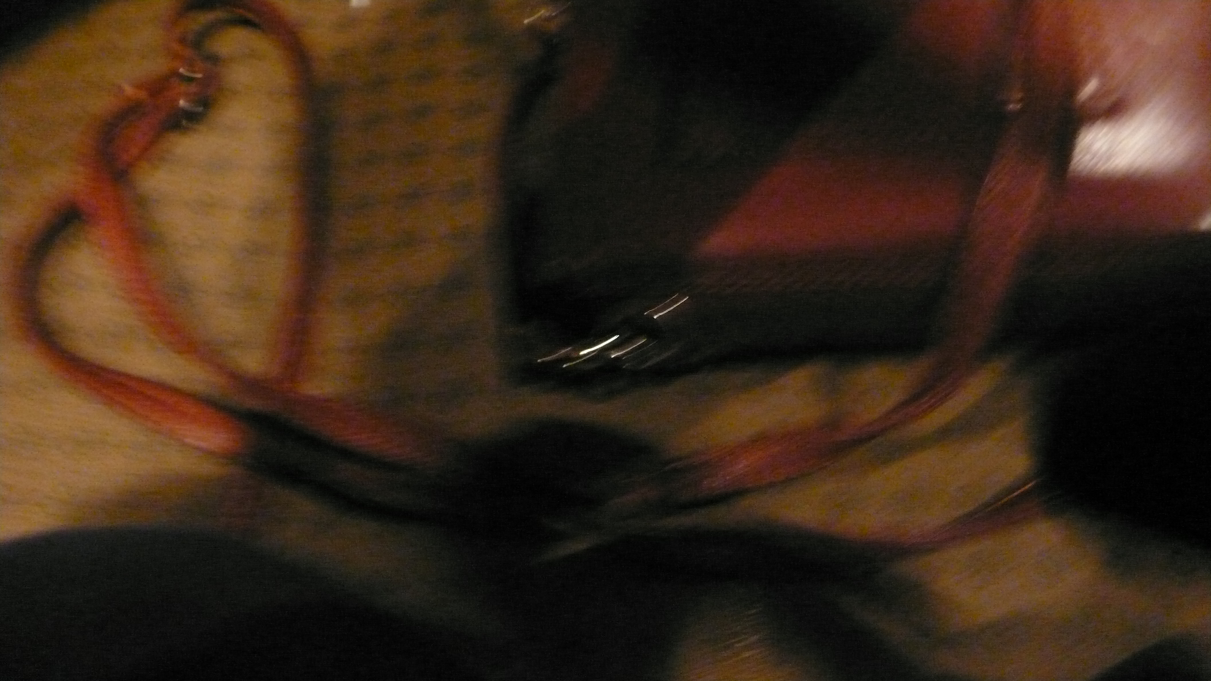 P1060142.JPG