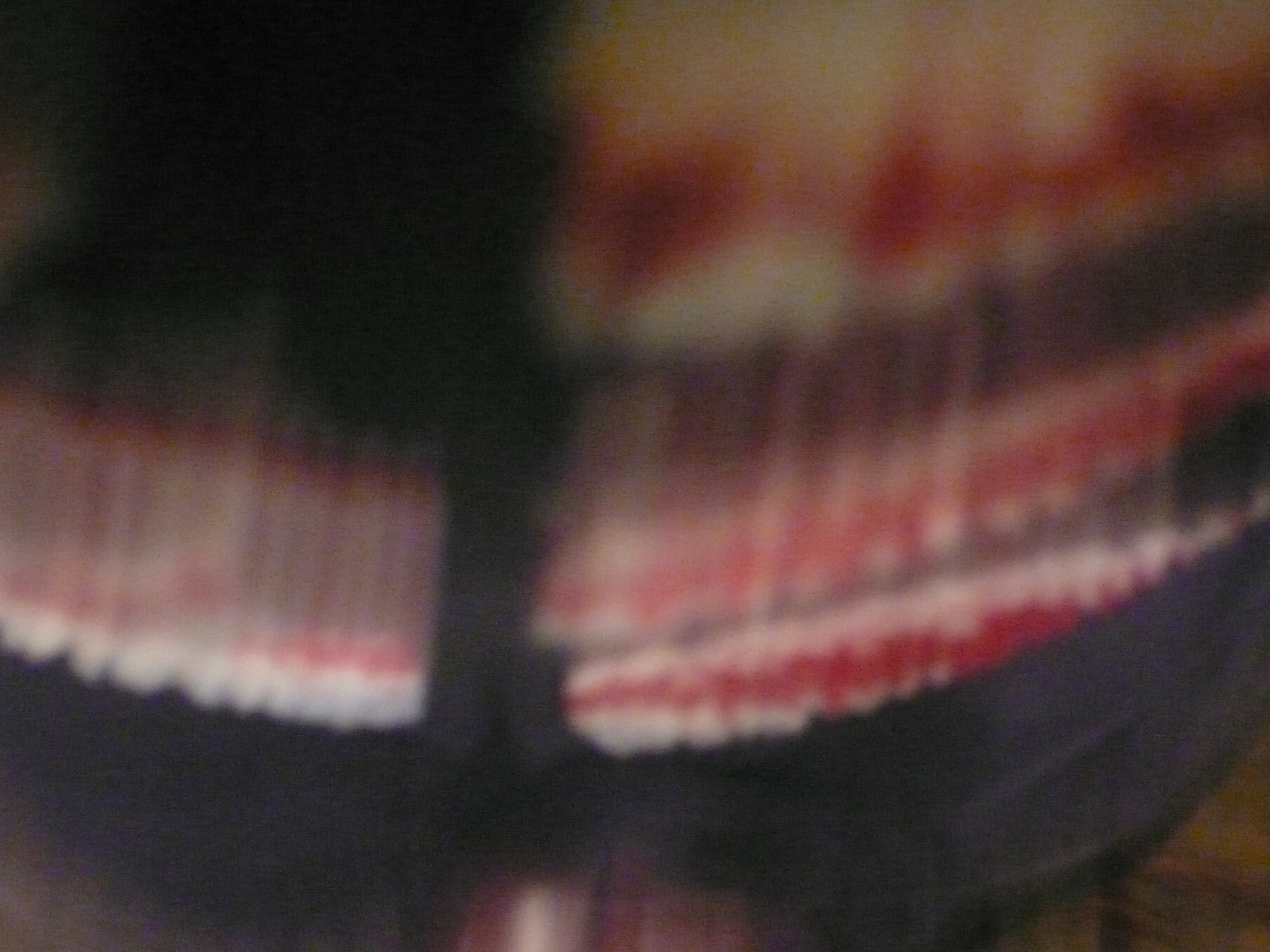 P1060145.JPG