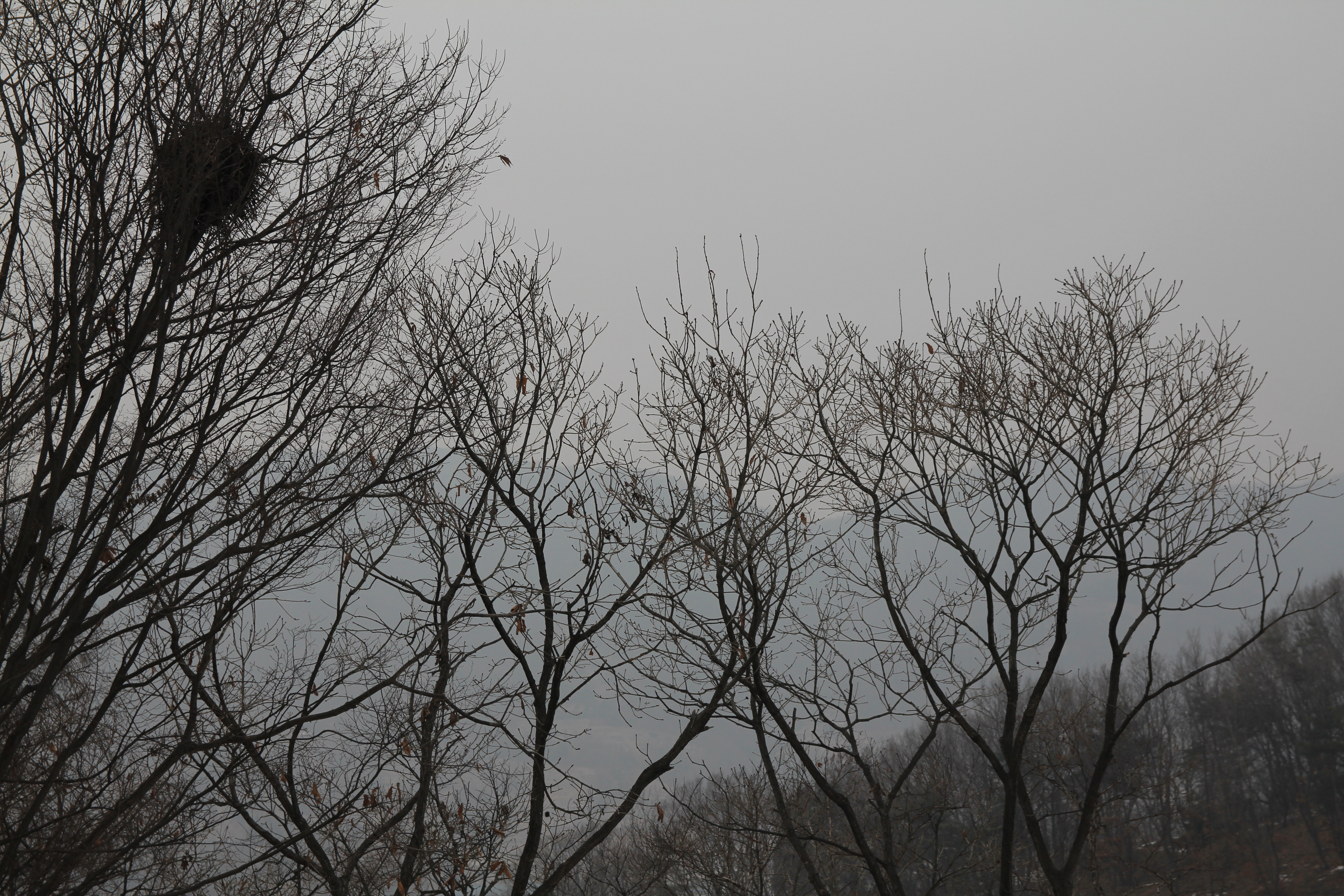 2011-02-03 15-01-30 설날.JPG