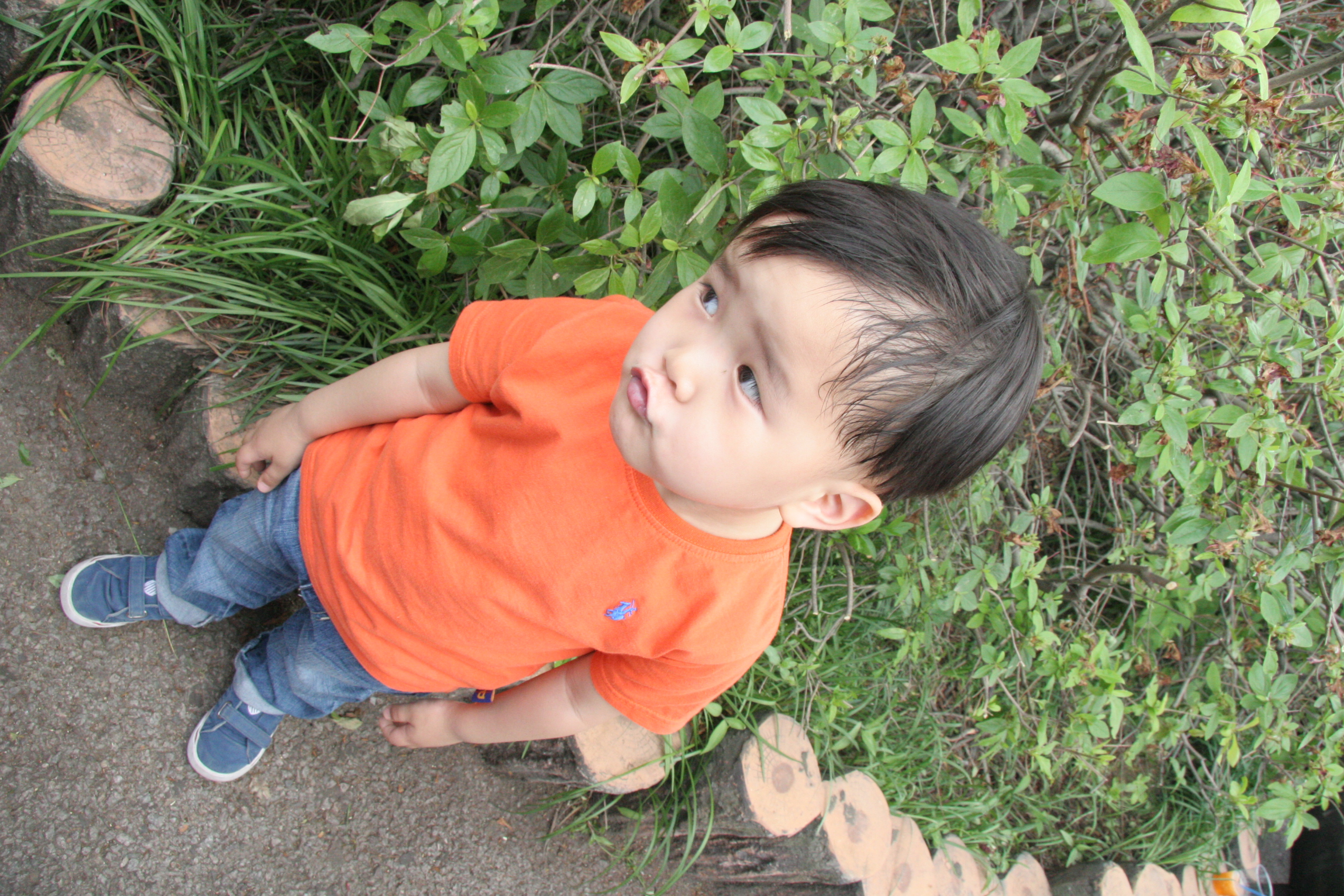 2011-05-28  13-51-02-401.JPG