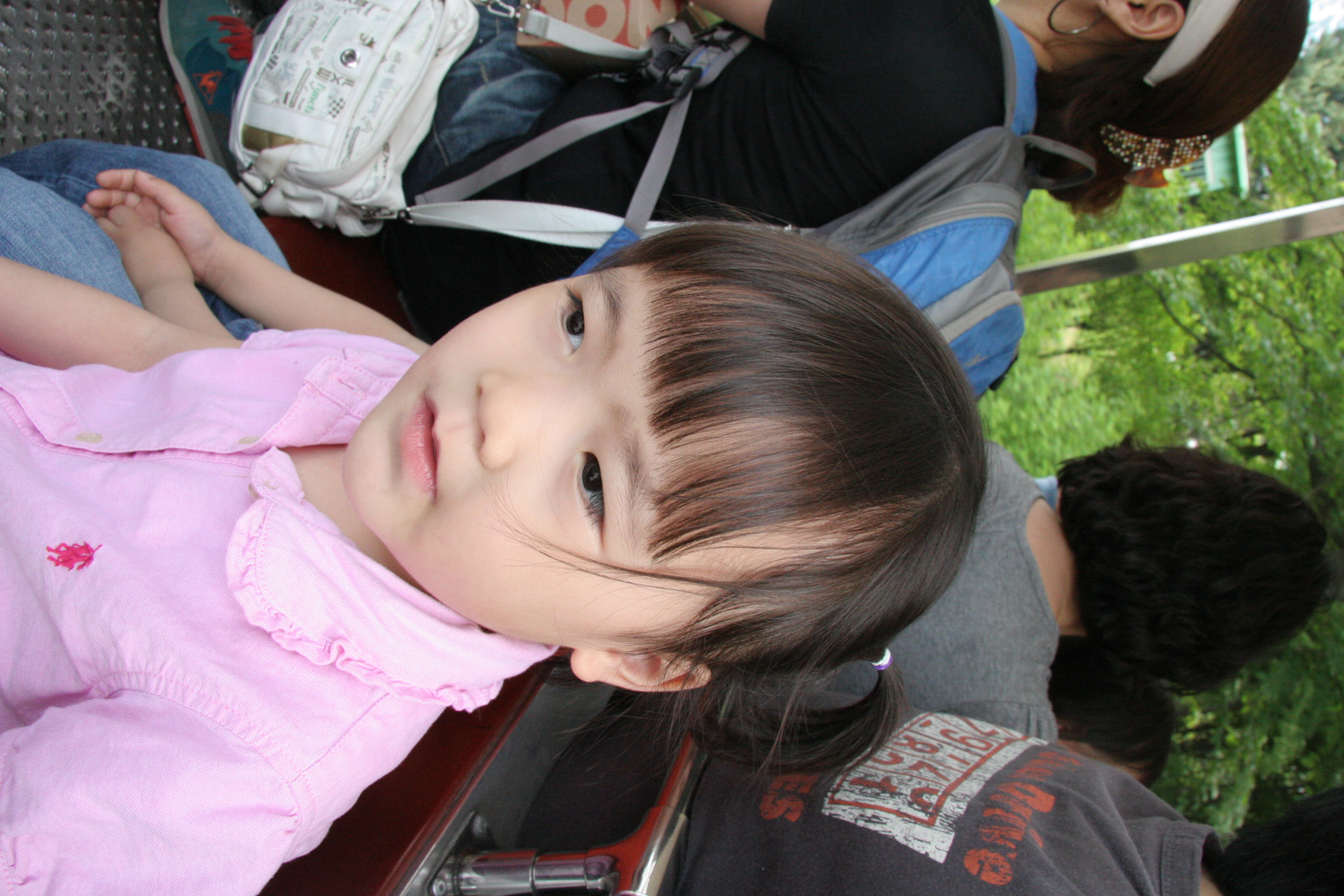 2012-01-28-000398.JPG