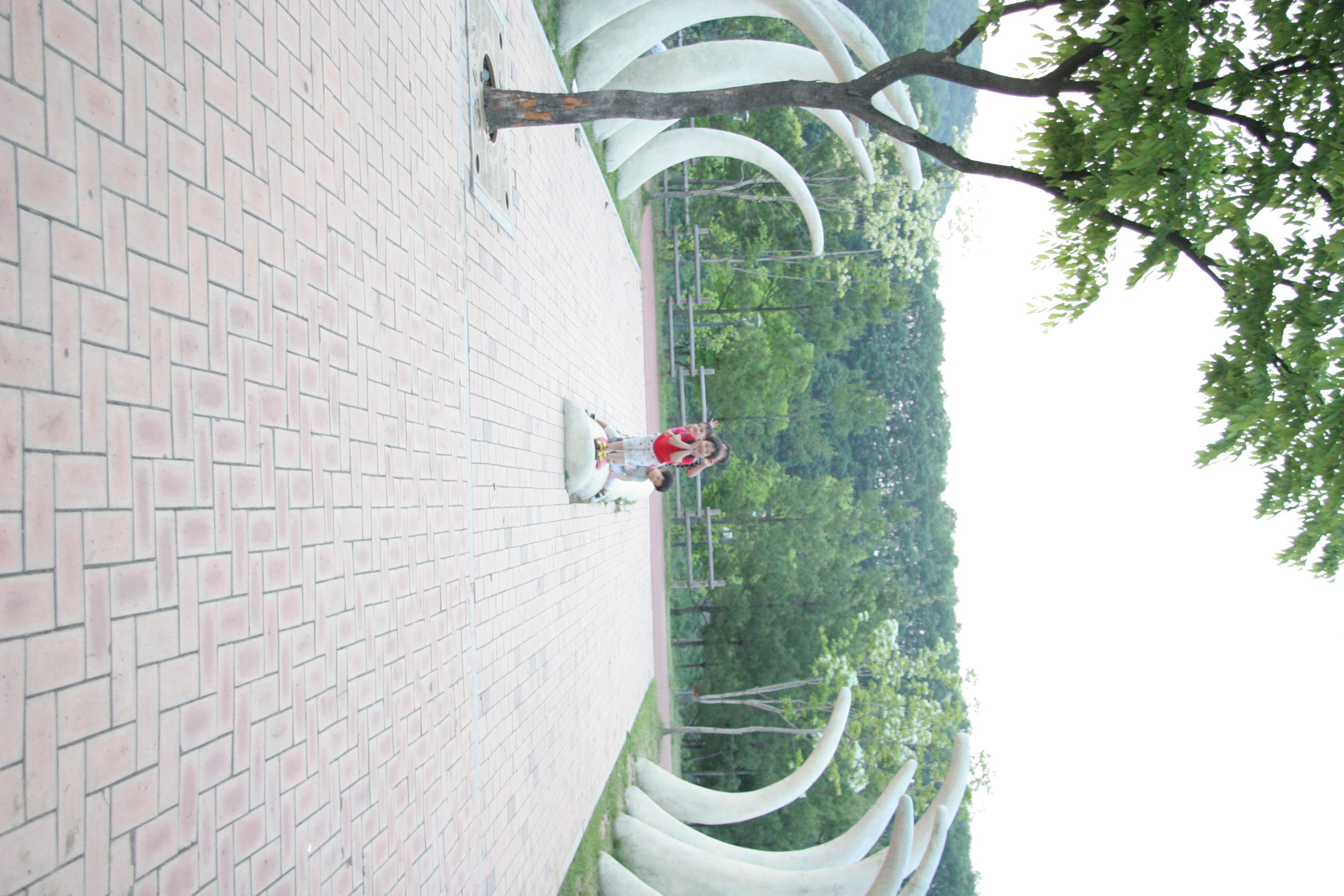 2012-05-20-00062.JPG