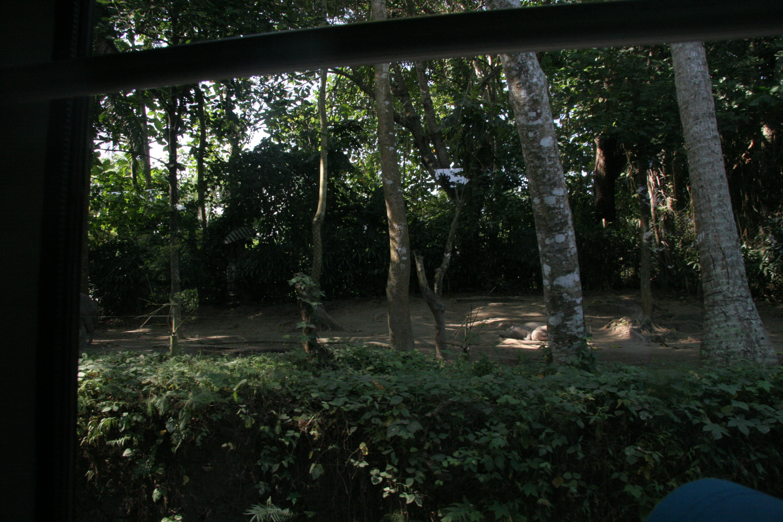 2012-07-02-00698.JPG