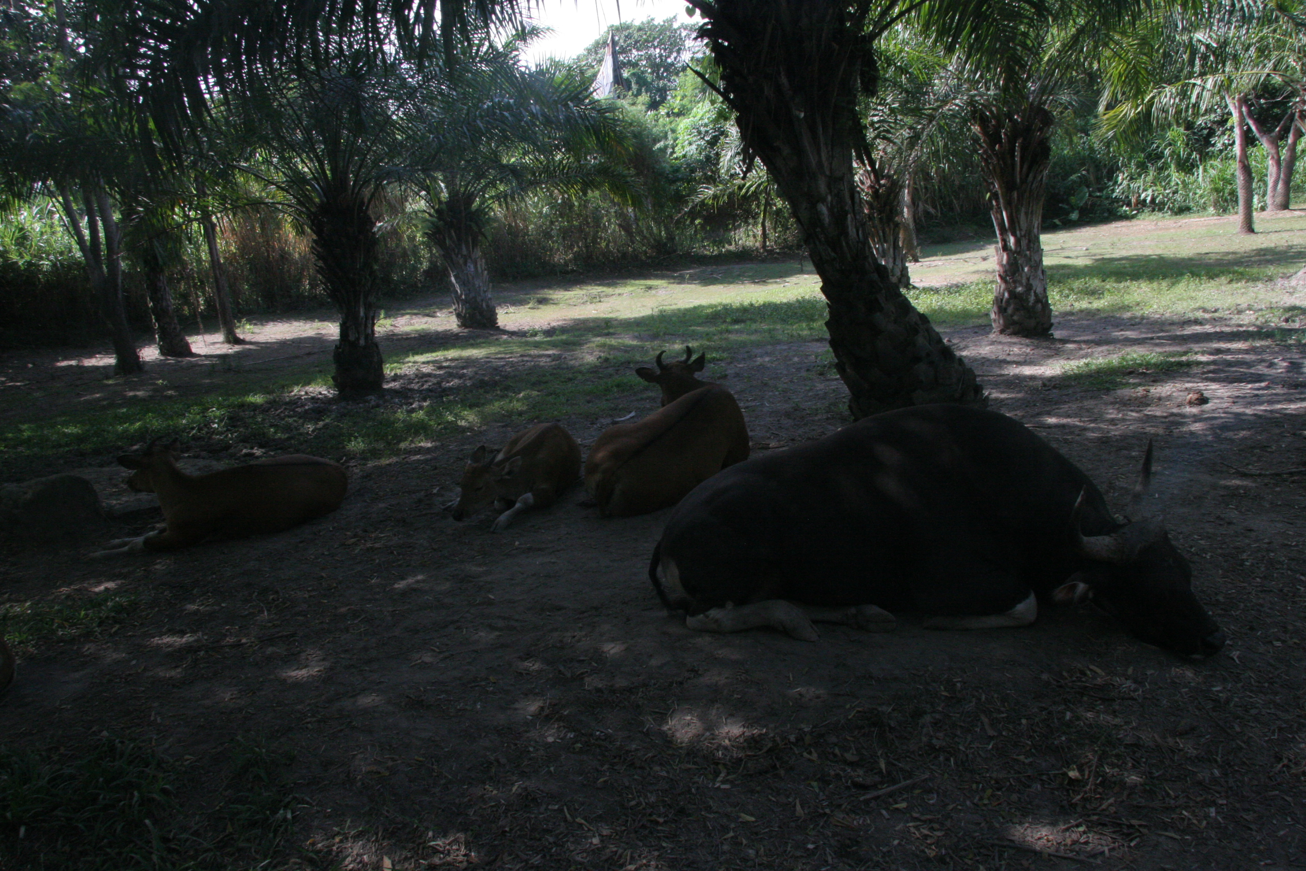 2012-07-02-00709.JPG