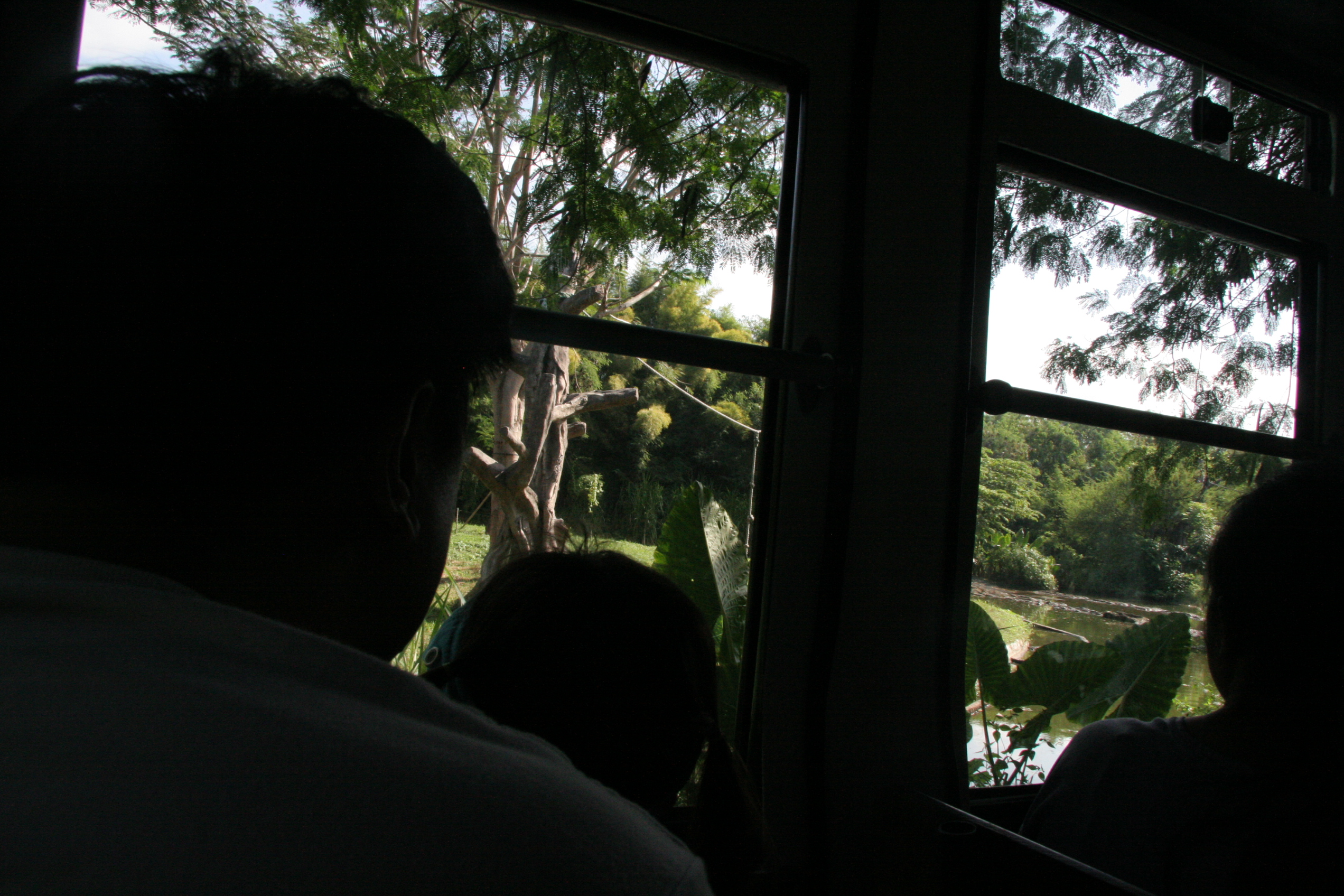 2012-07-02-00713.JPG