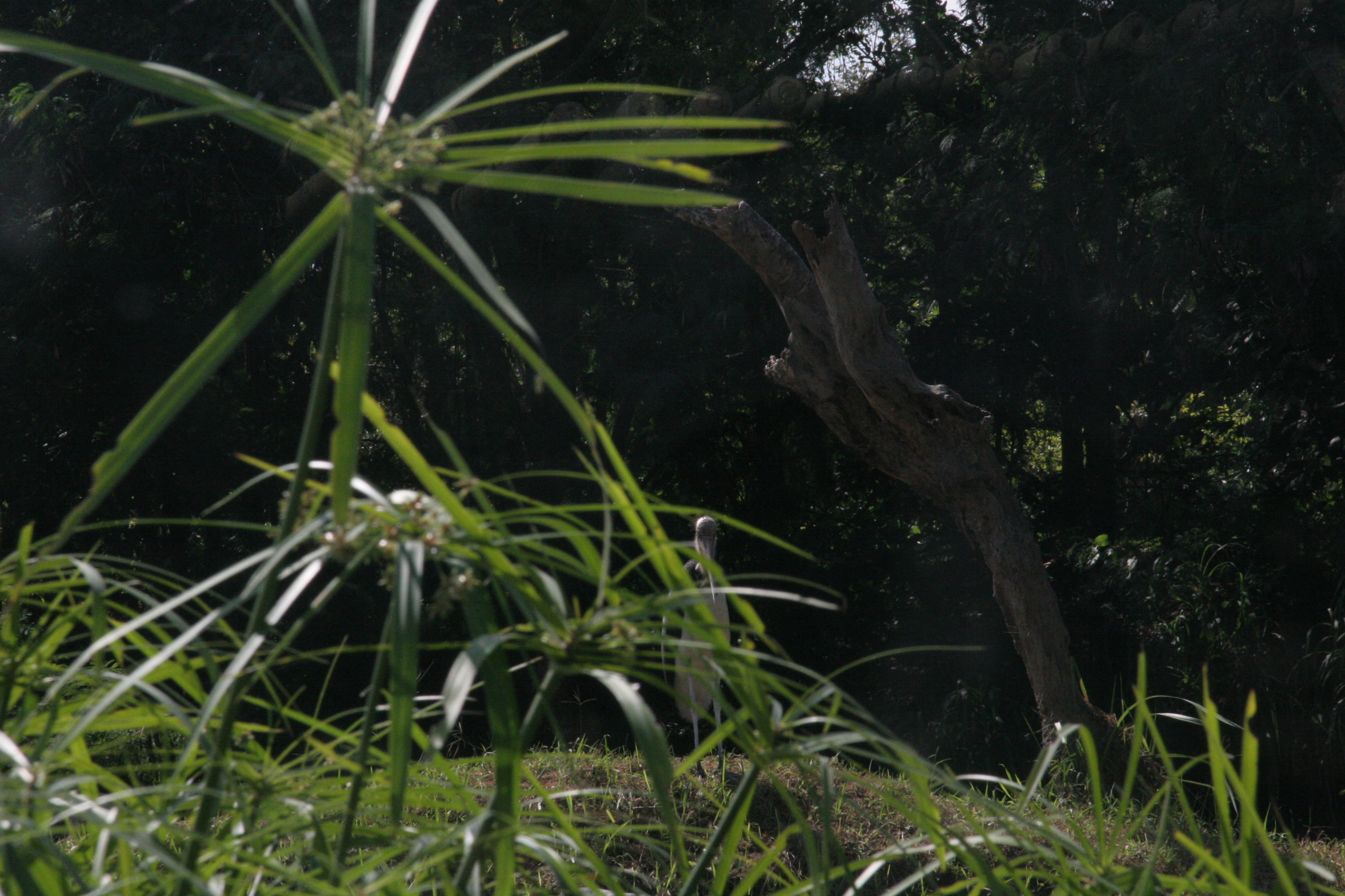 2012-07-02-00714.JPG