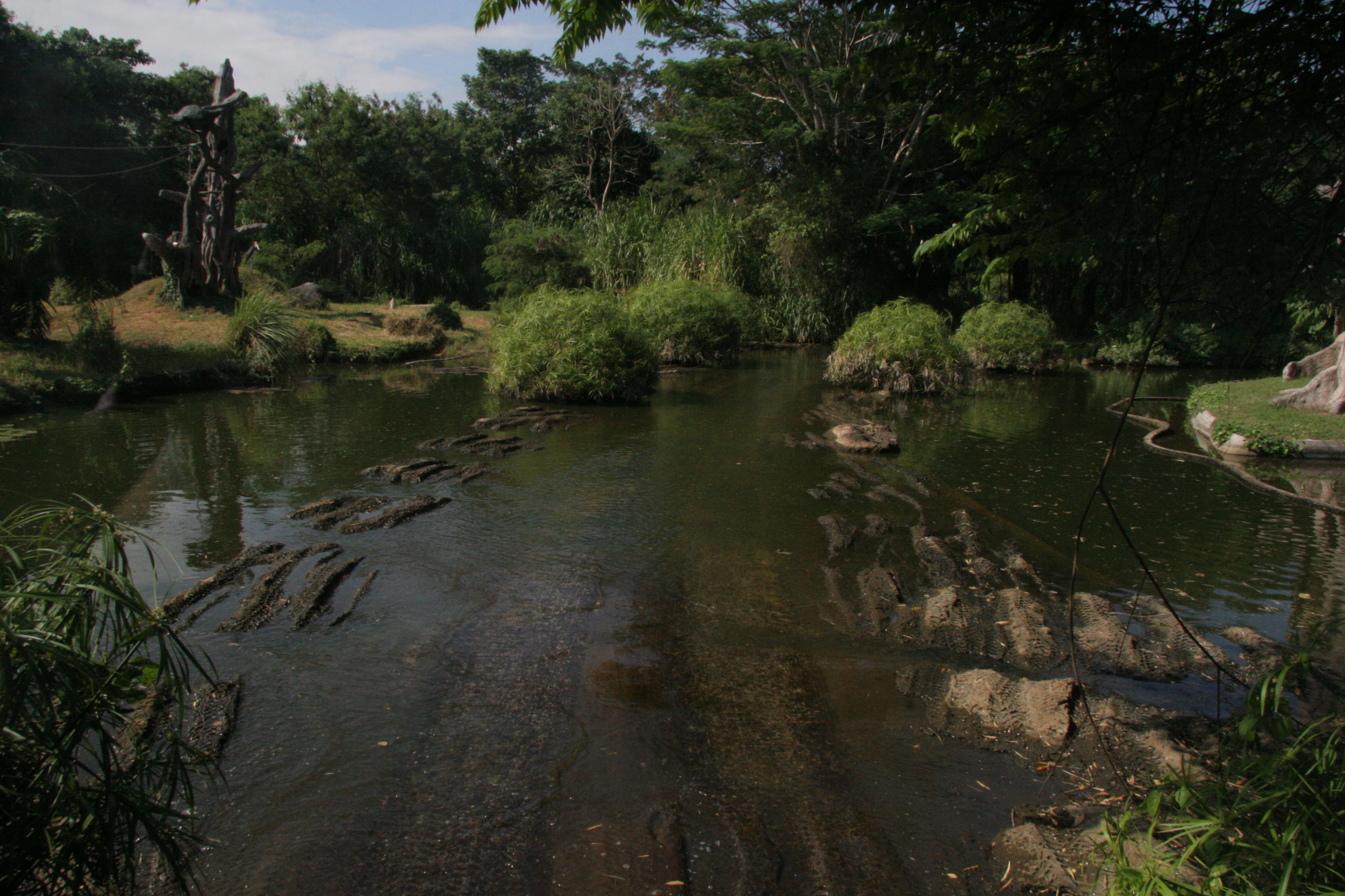 2012-07-02-00717.JPG