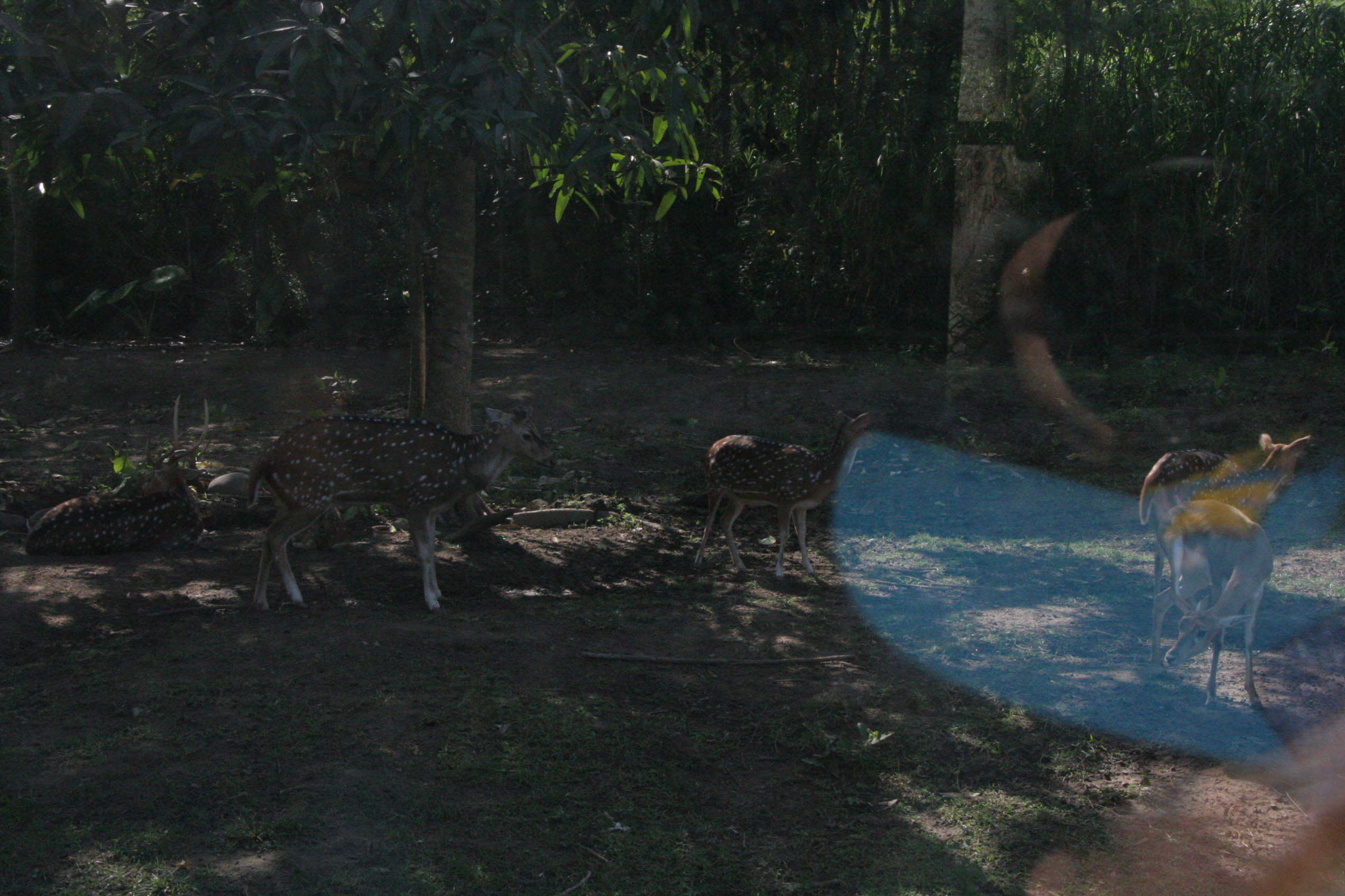 2012-07-02-00727.JPG
