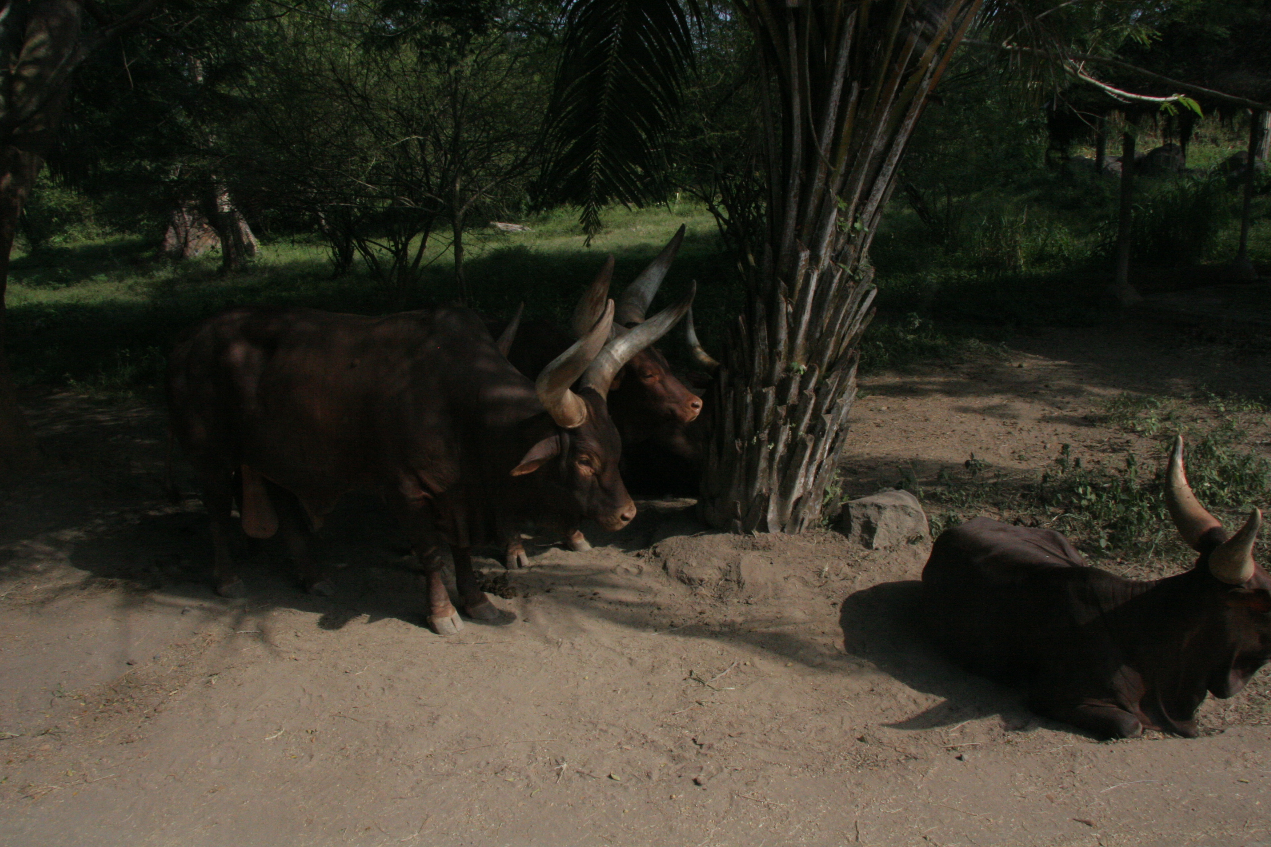 2012-07-02-00755.JPG