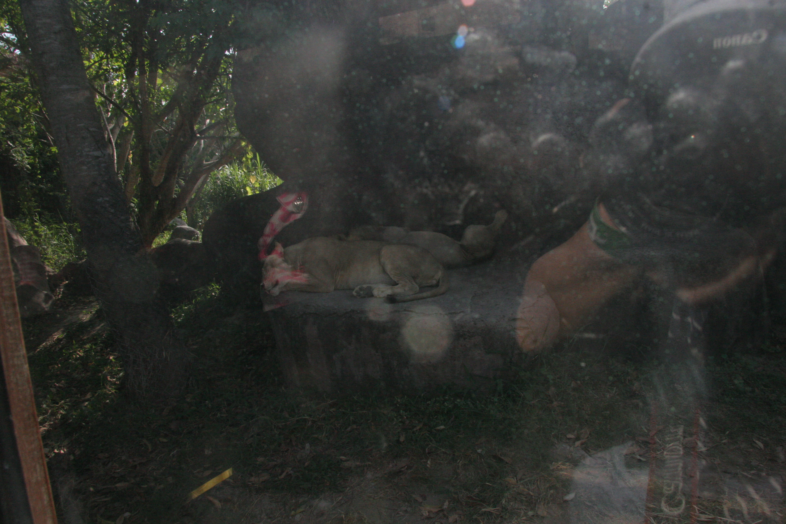 2012-07-02-00761.JPG