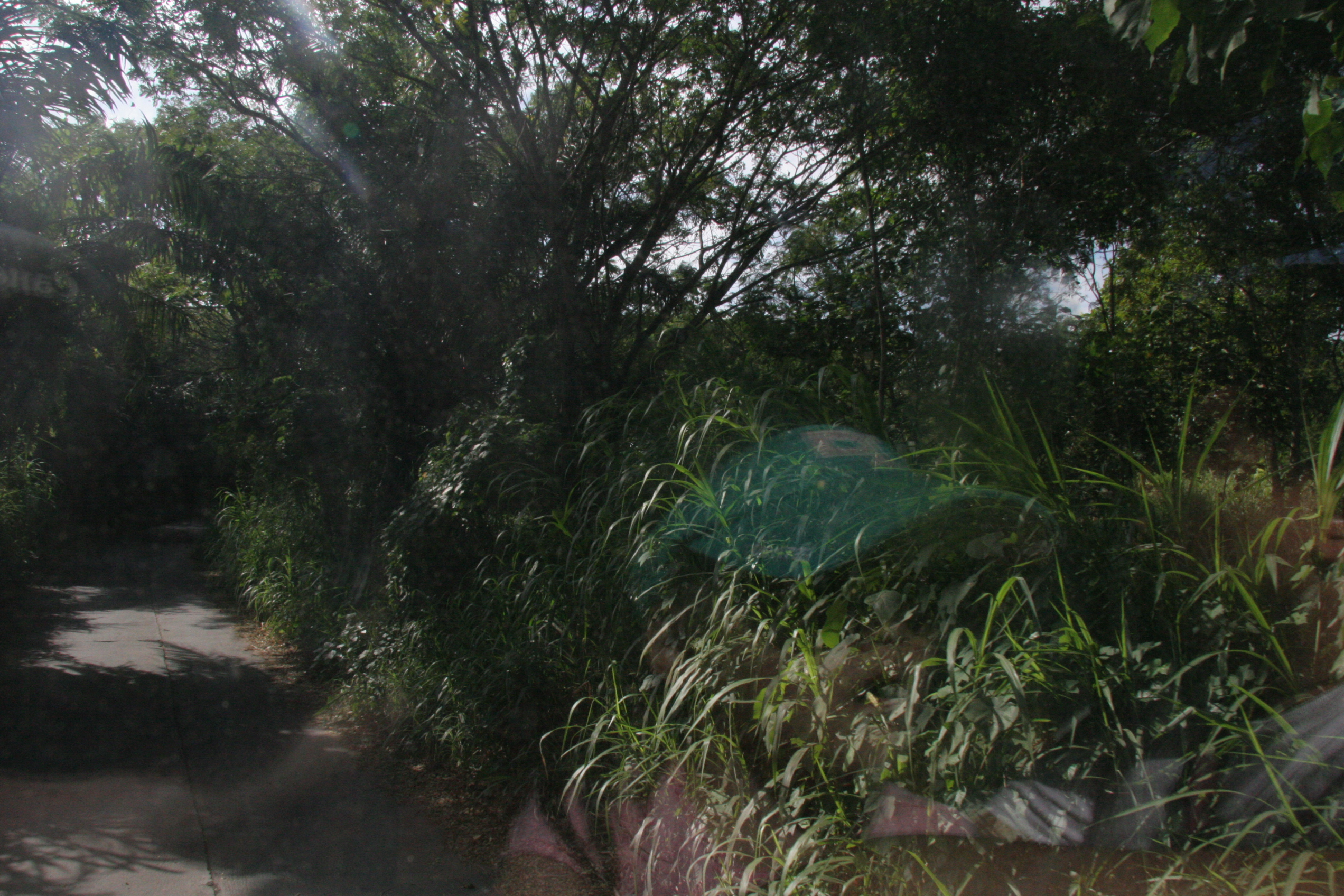 2012-07-02-00764.JPG