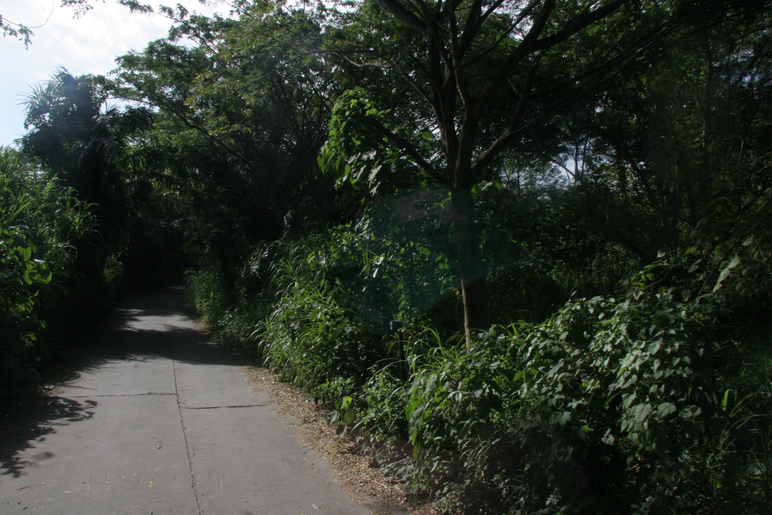 2012-07-02-00765.JPG