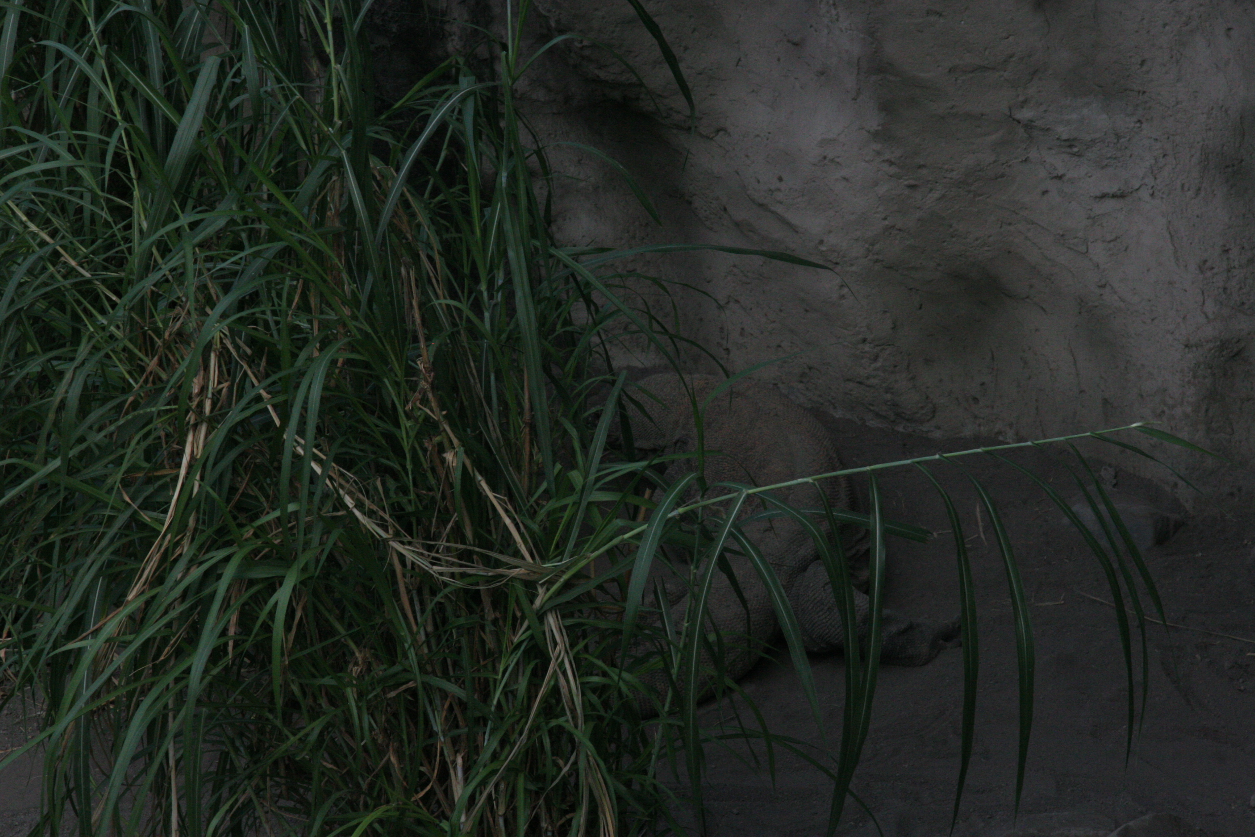 2012-07-02-00769.JPG
