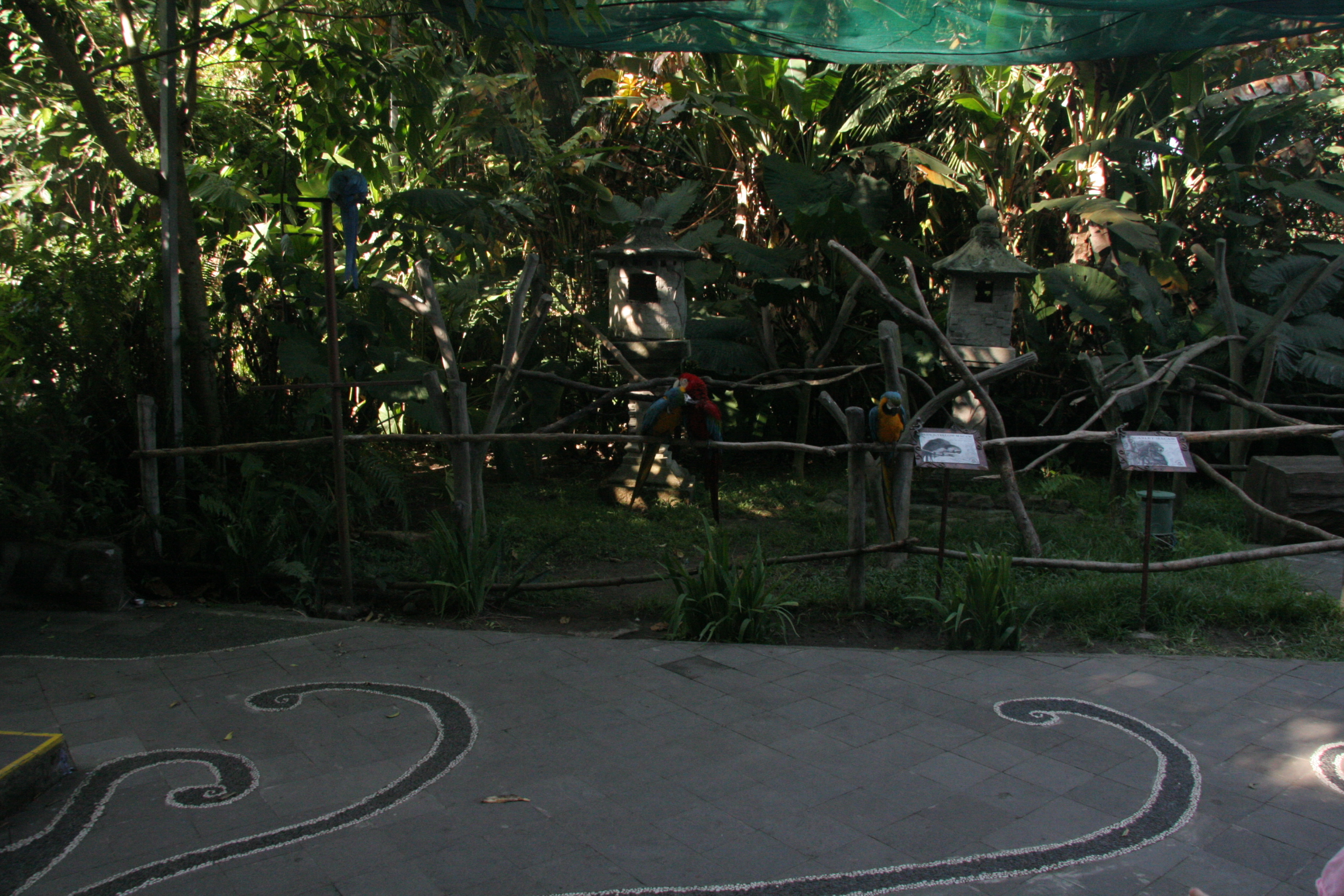 2012-07-02-00781.JPG