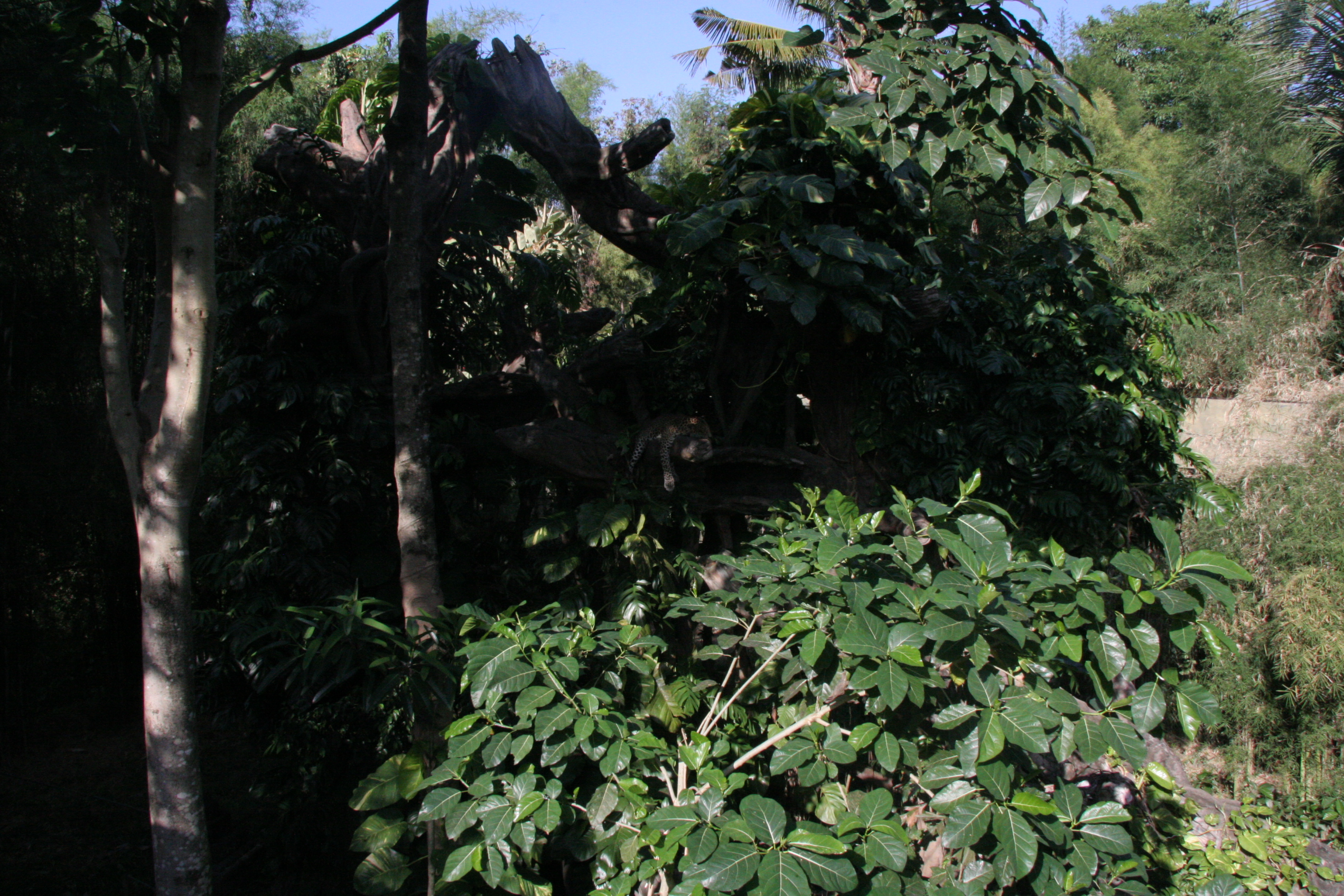 2012-07-02-00787.JPG