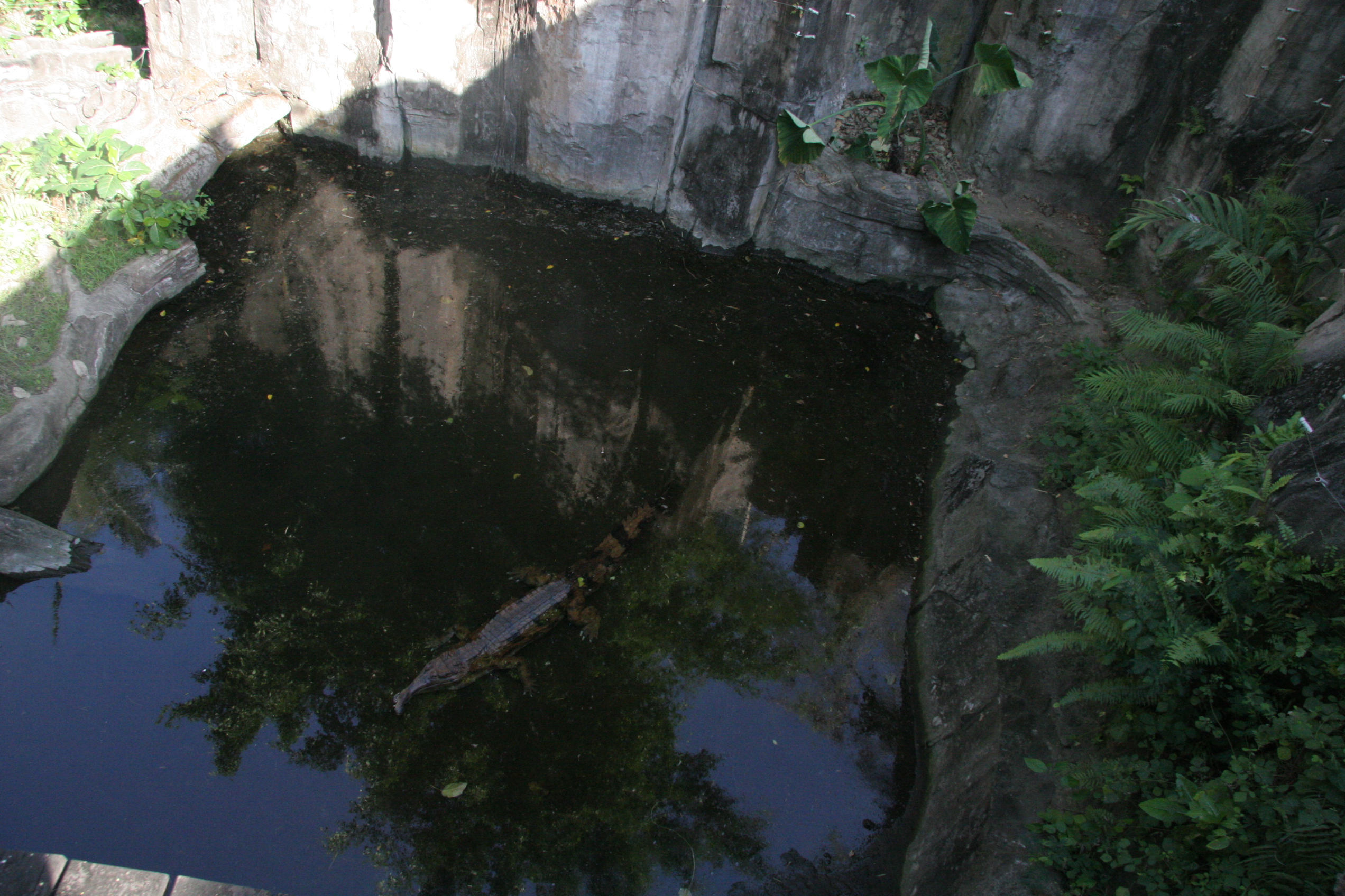 2012-07-02-00789.JPG