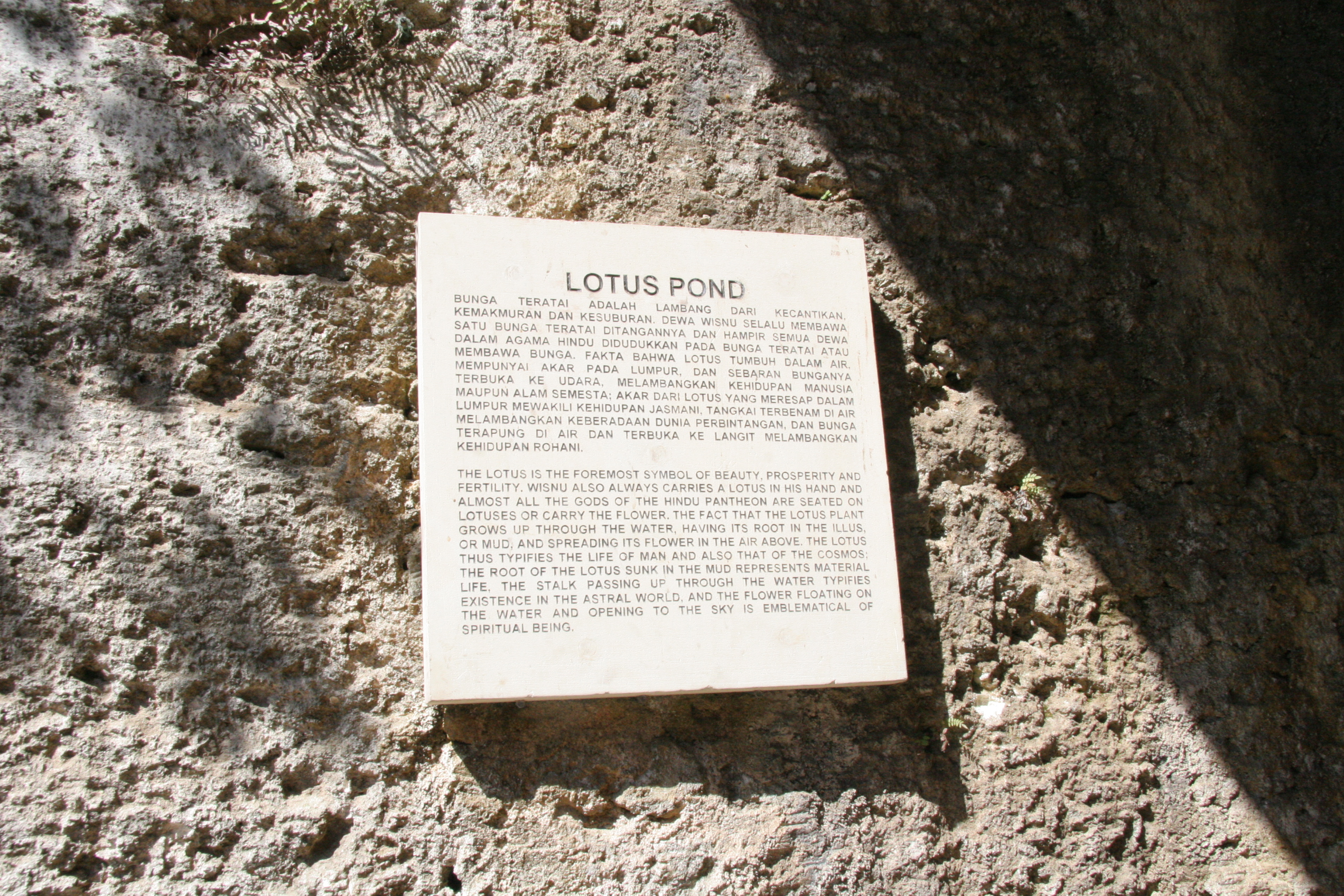2012-06-30-00255.JPG