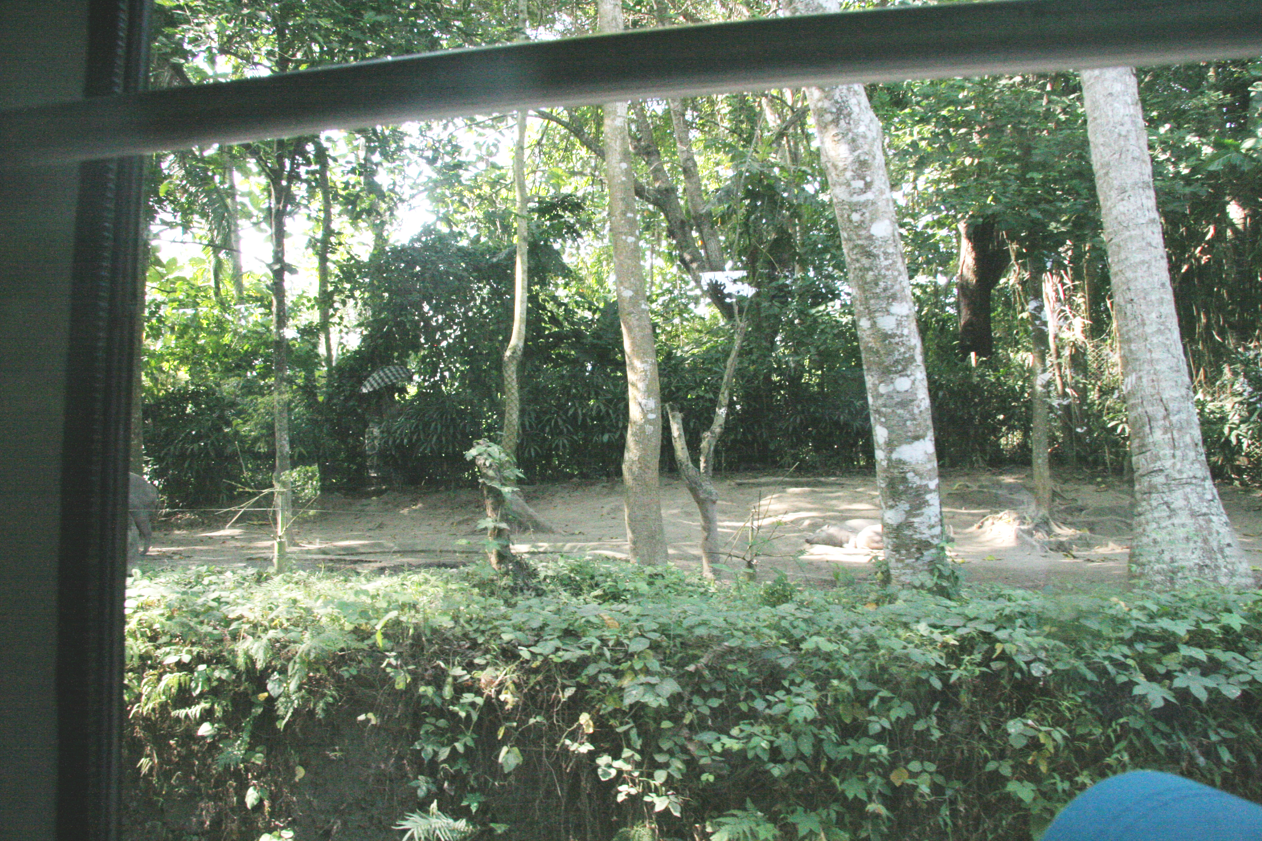 2012-07-02-00698.JPG