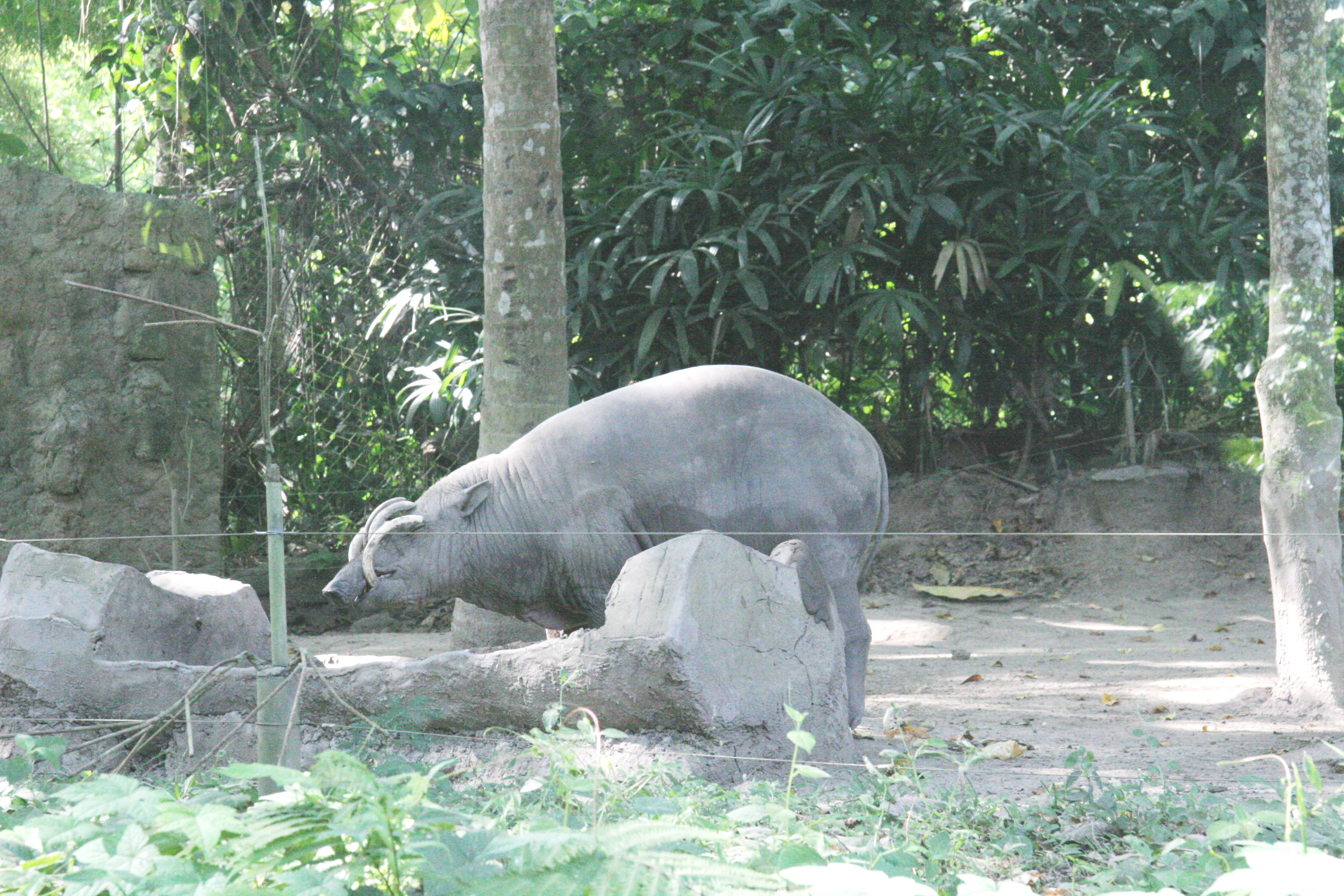 2012-07-02-00699.JPG