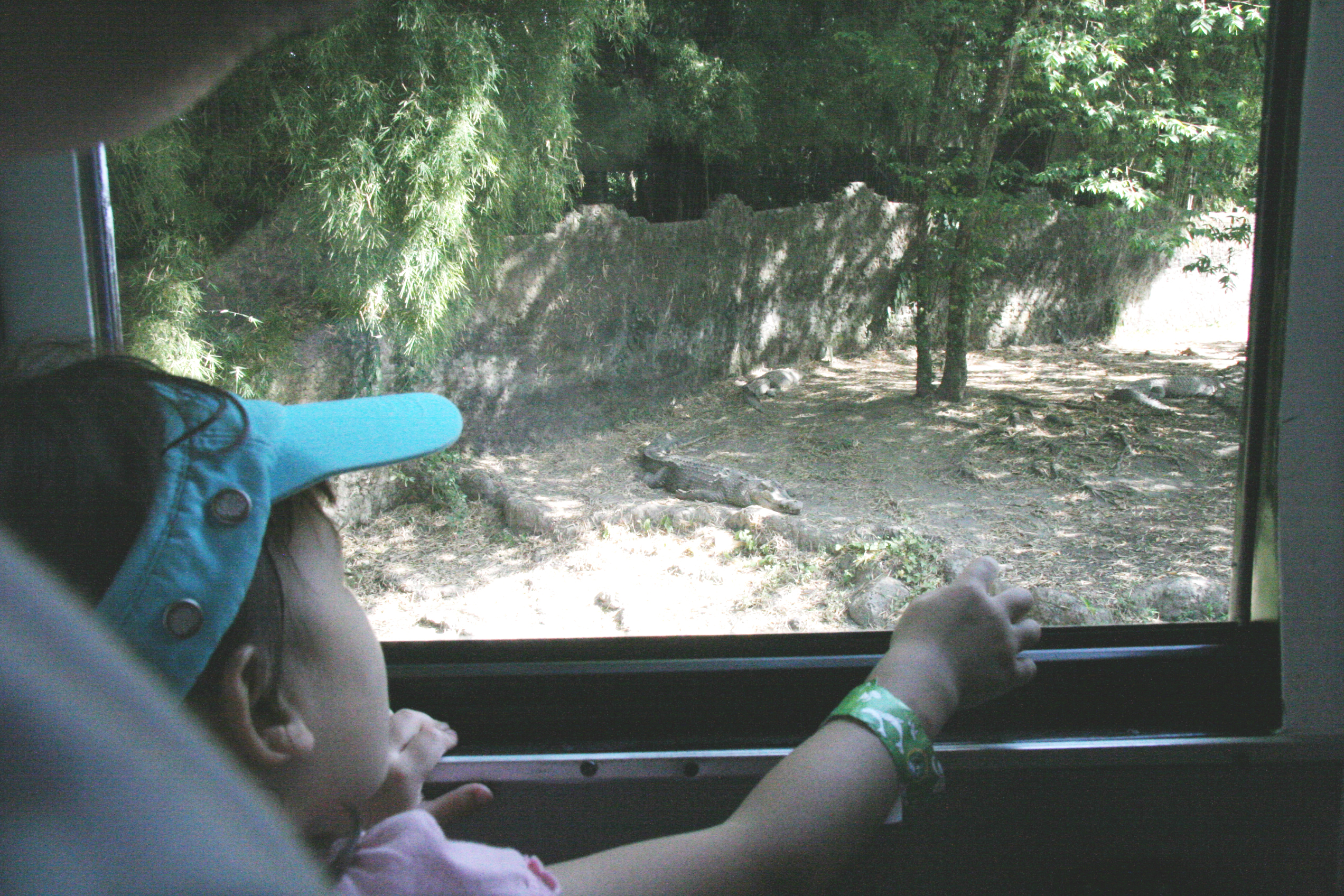 2012-07-02-00702.JPG