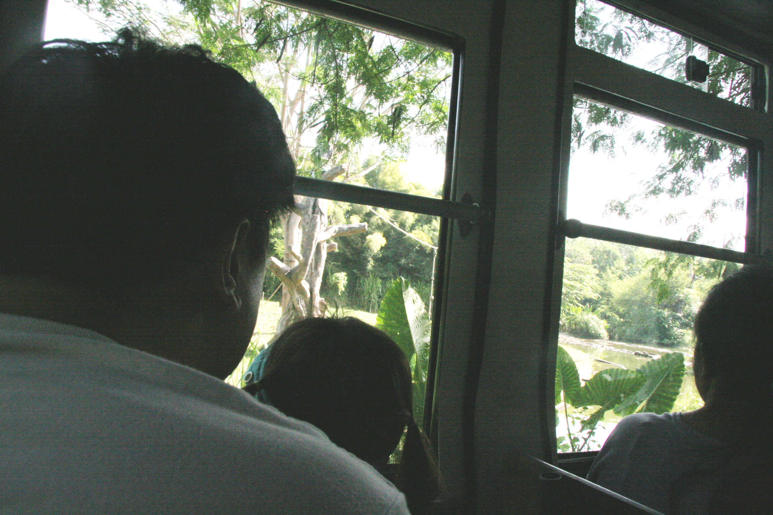 2012-07-02-00713.JPG