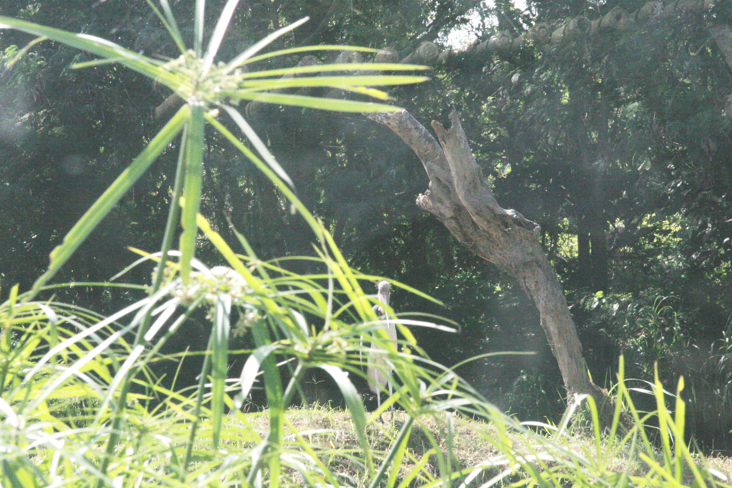 2012-07-02-00714.JPG