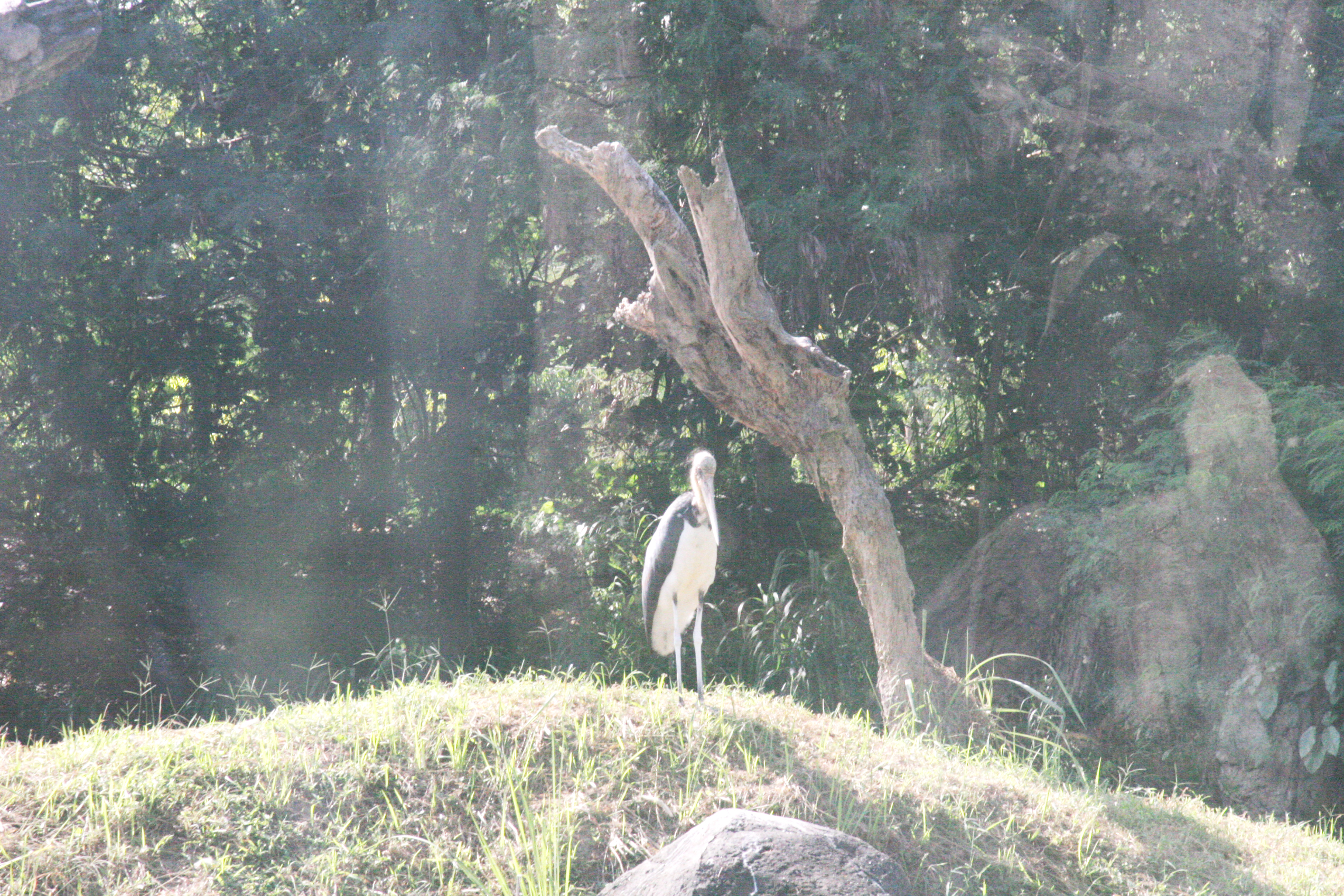 2012-07-02-00715.JPG