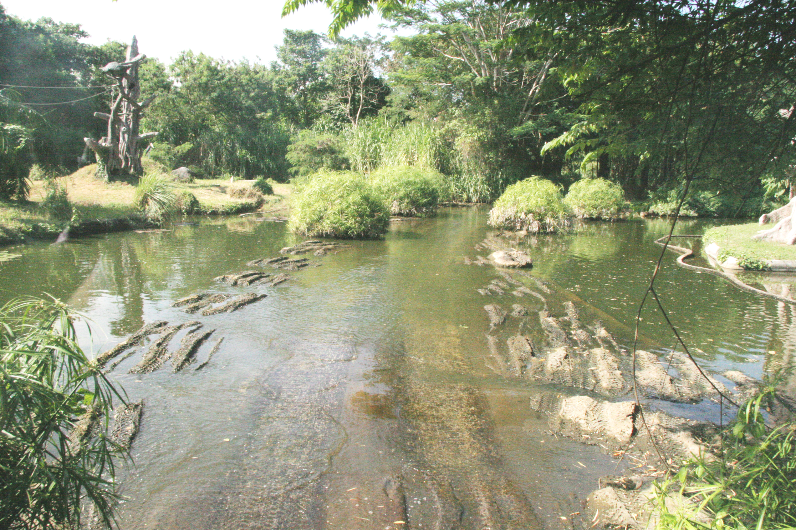 2012-07-02-00717.JPG