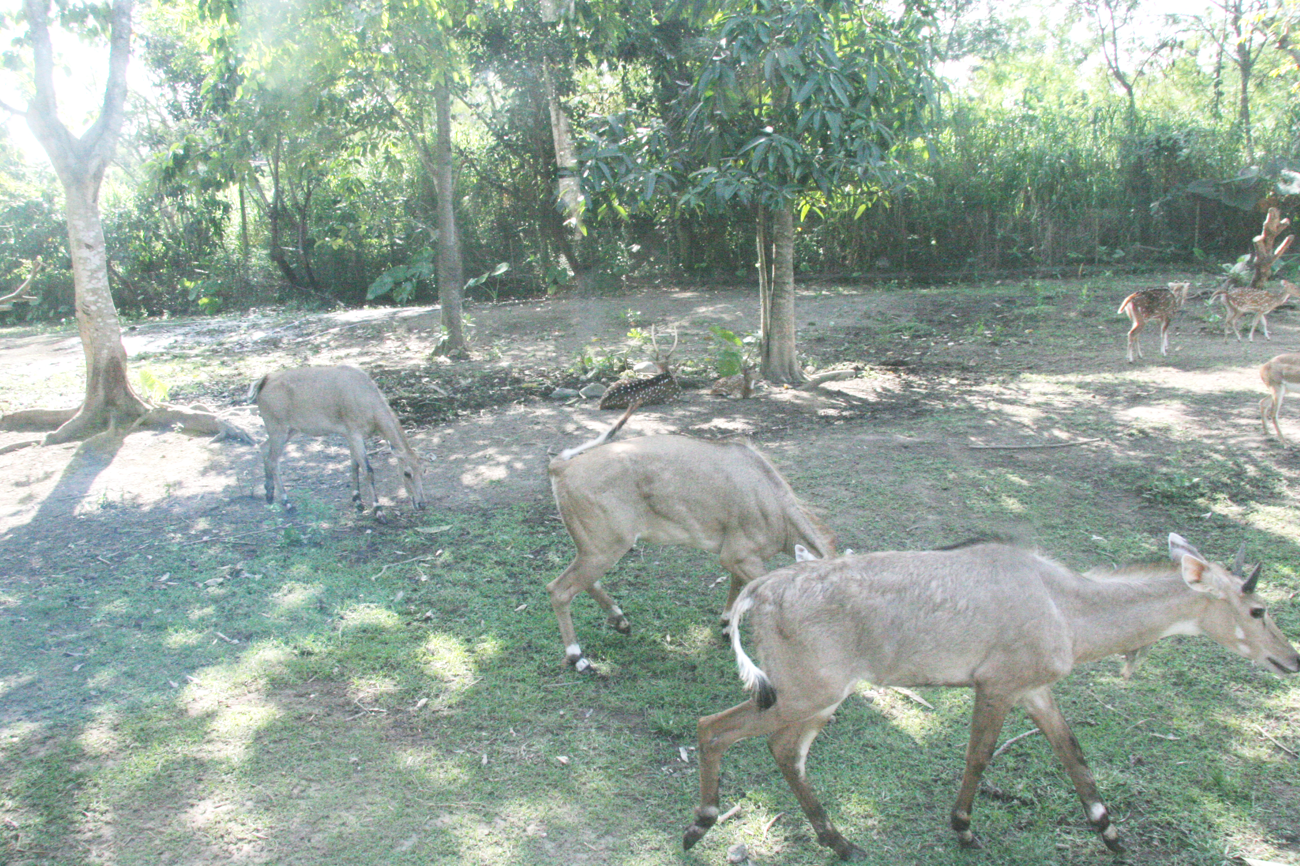2012-07-02-00728.JPG