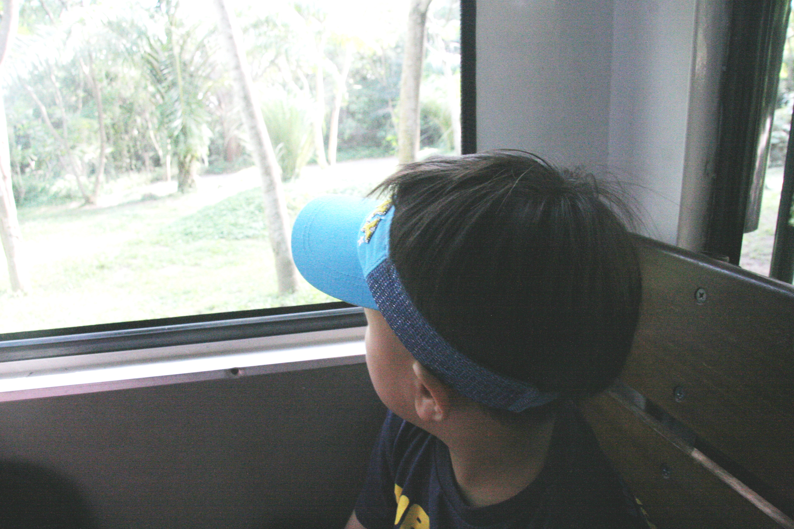 2012-07-02-00736.JPG