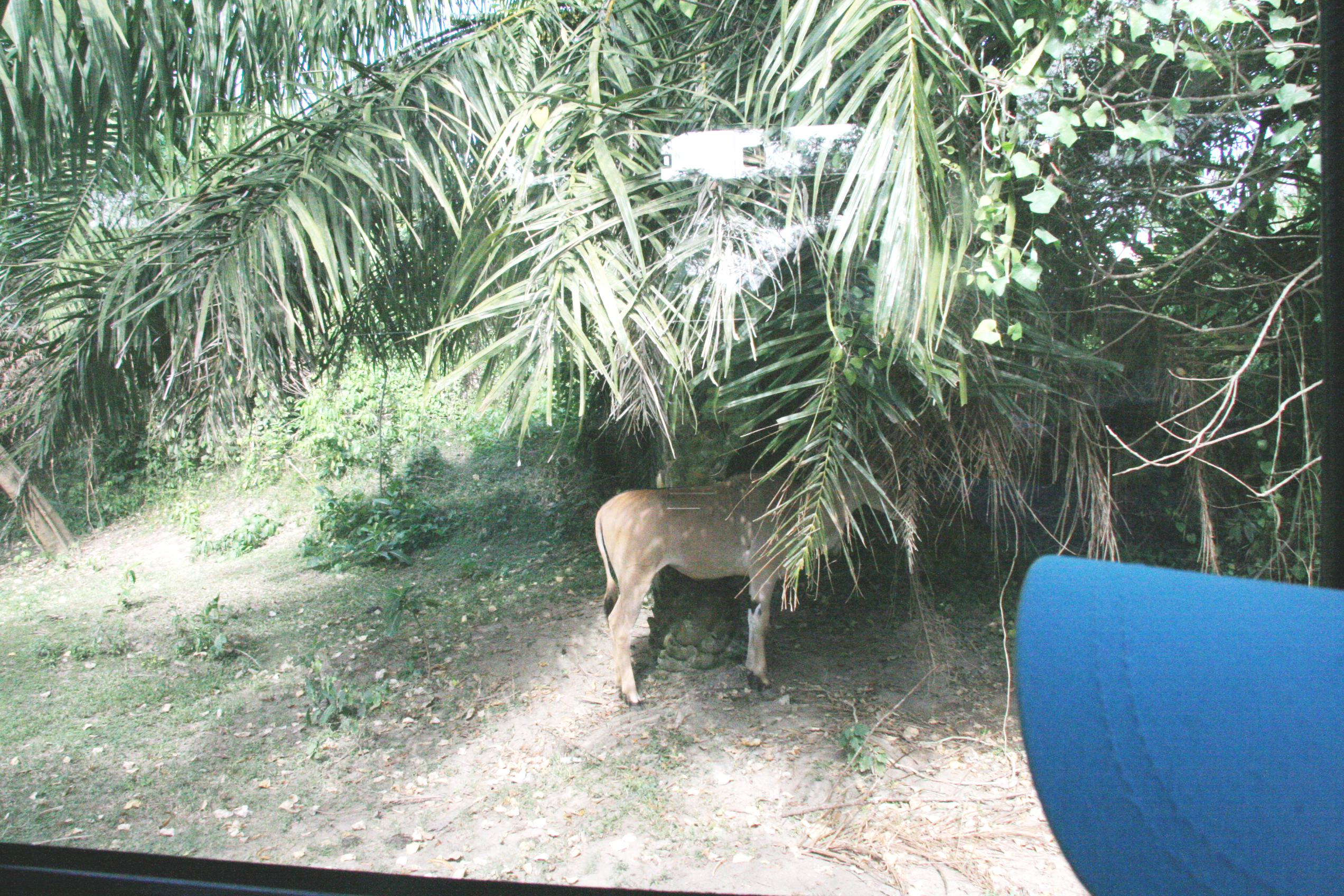 2012-07-02-00738.JPG