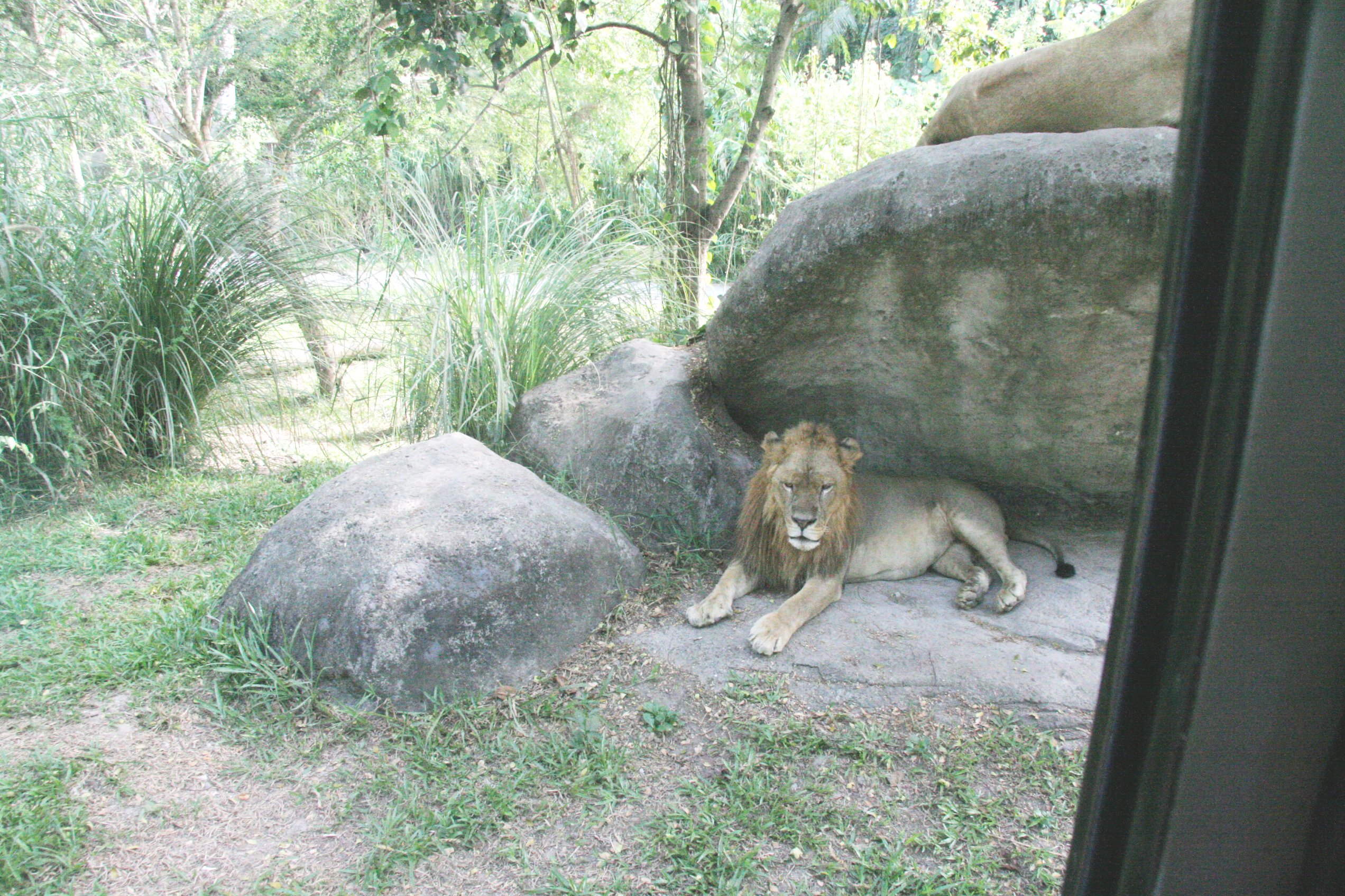 2012-07-02-00742.JPG