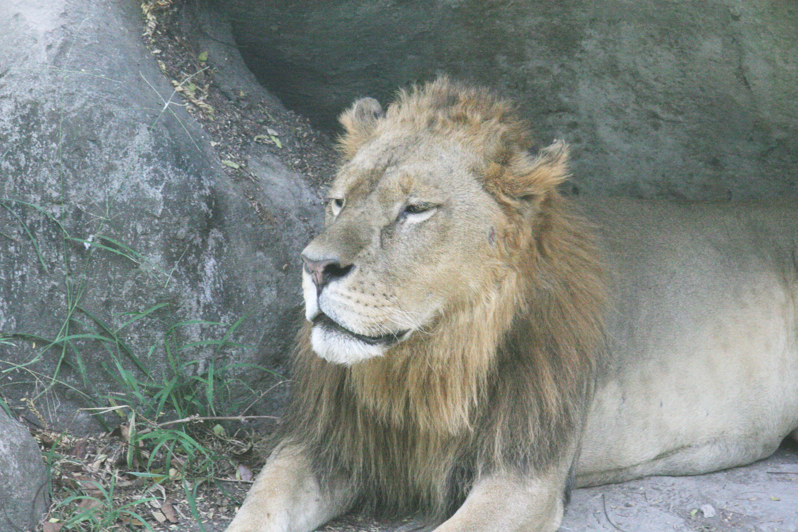 2012-07-02-00743.JPG