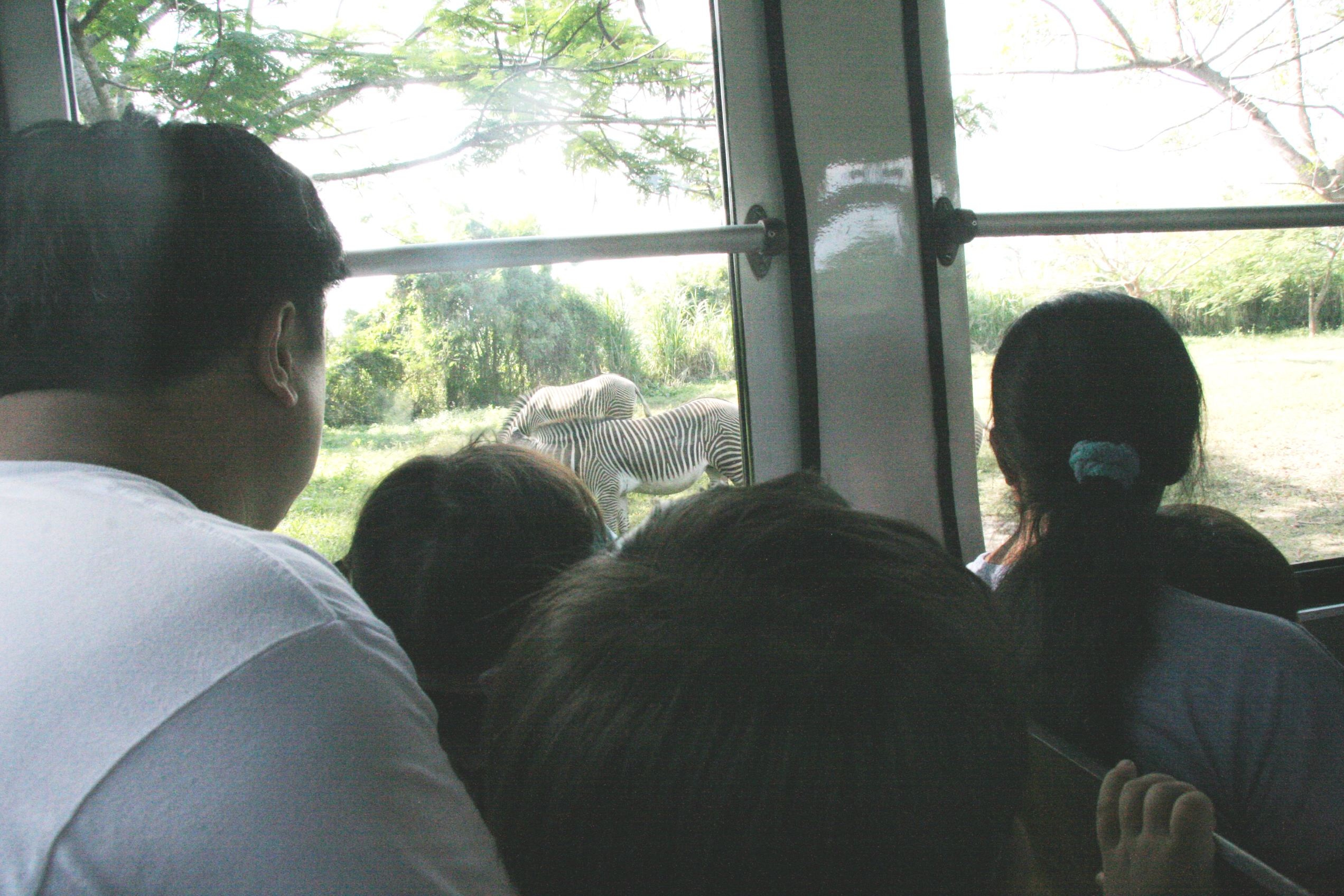 2012-07-02-00745.JPG