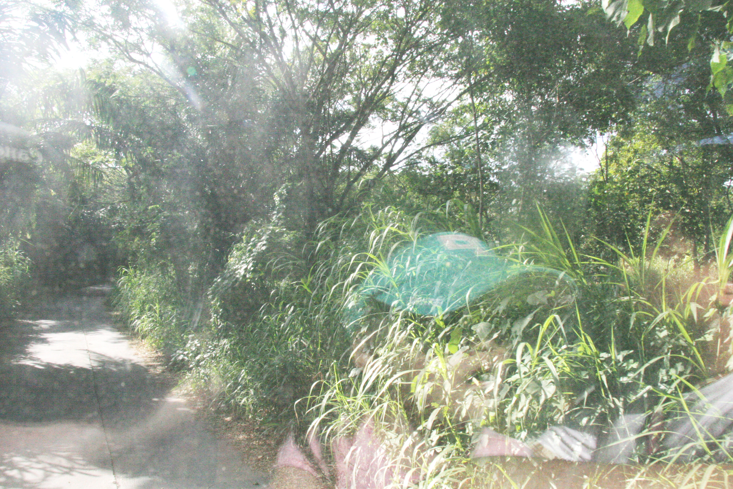 2012-07-02-00764.JPG