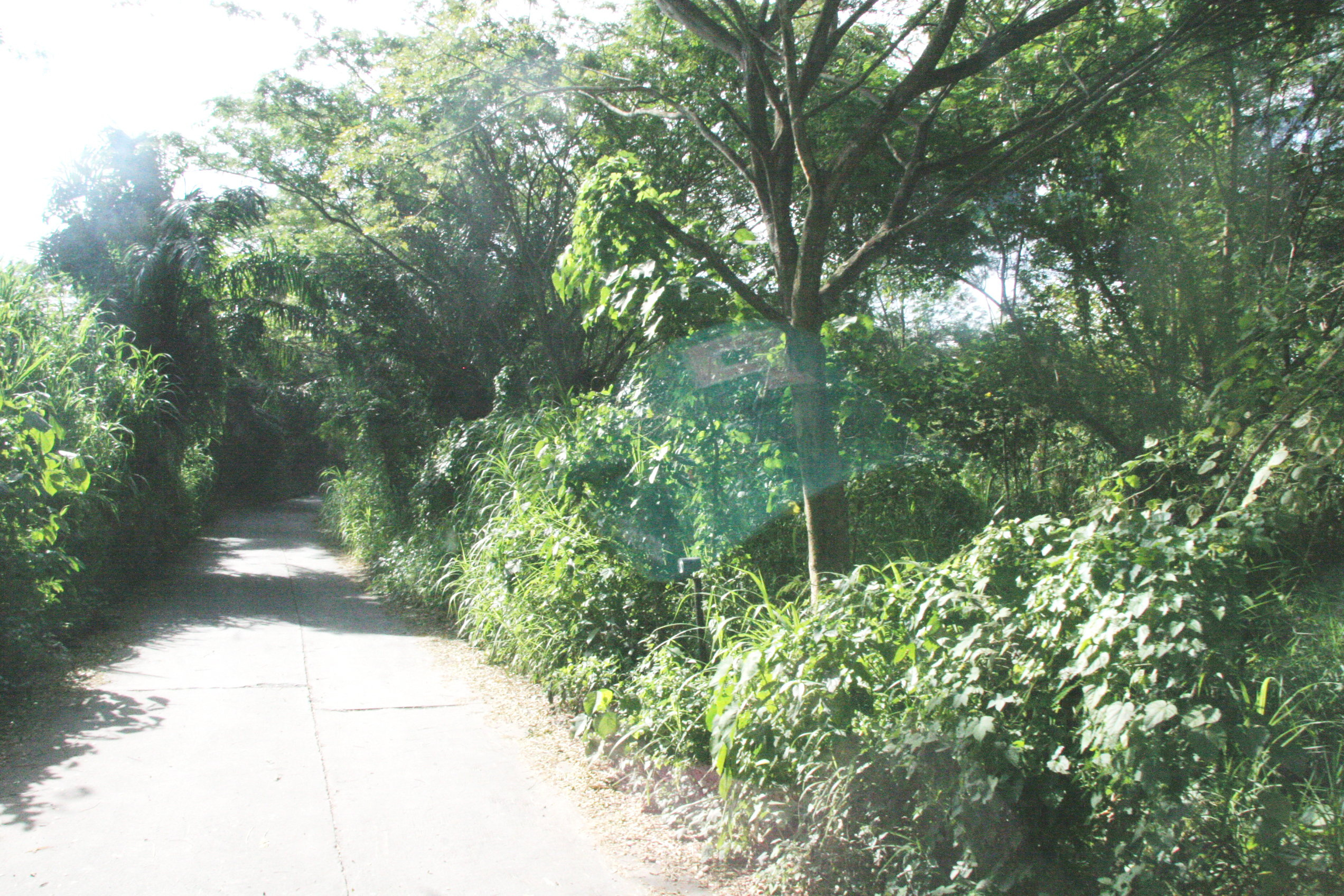 2012-07-02-00765.JPG
