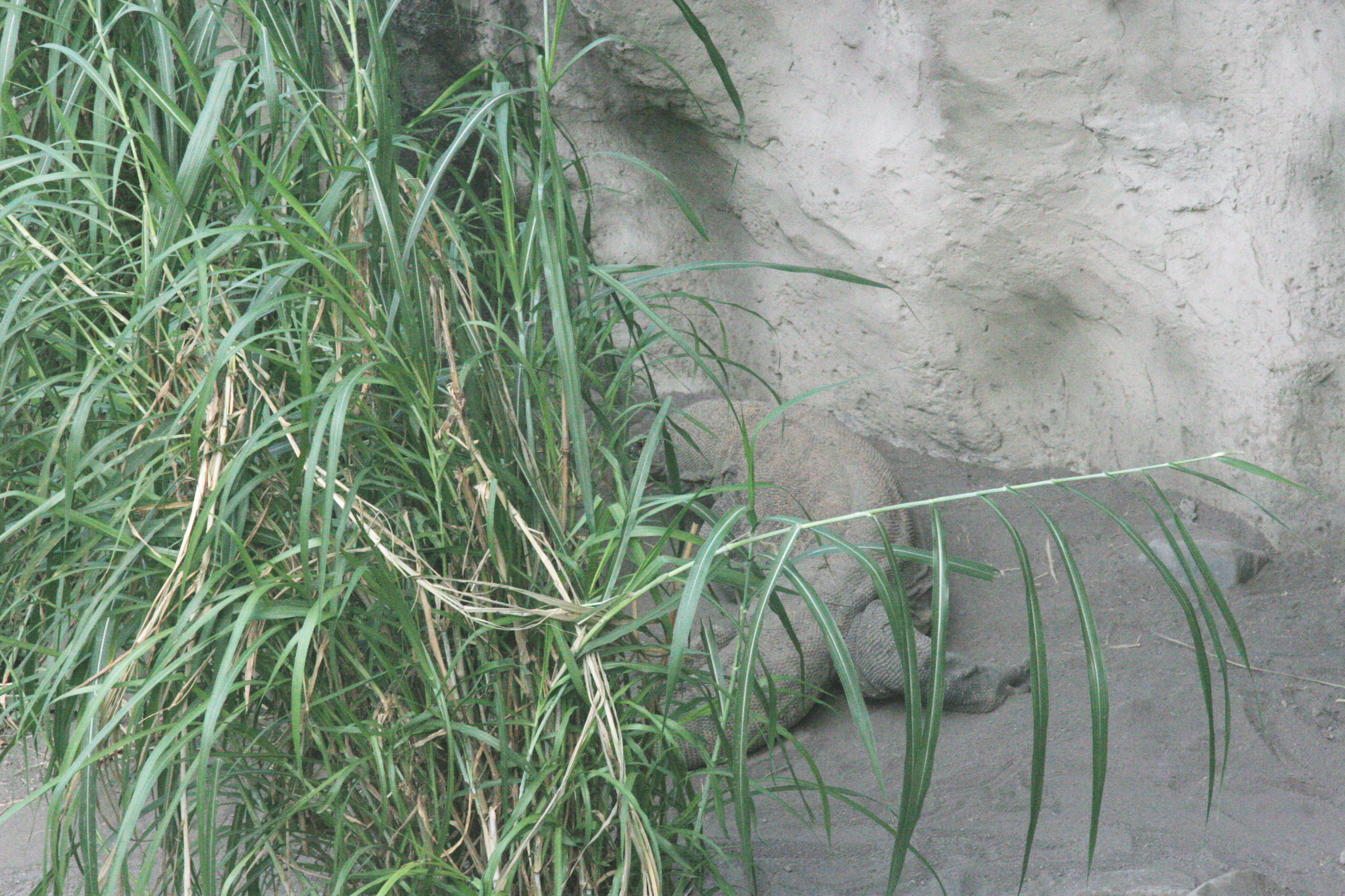 2012-07-02-00769.JPG