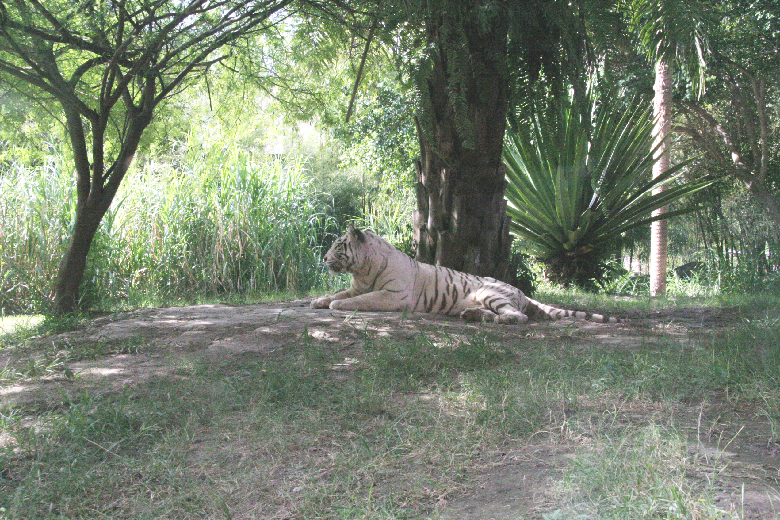 2012-07-02-00776.JPG