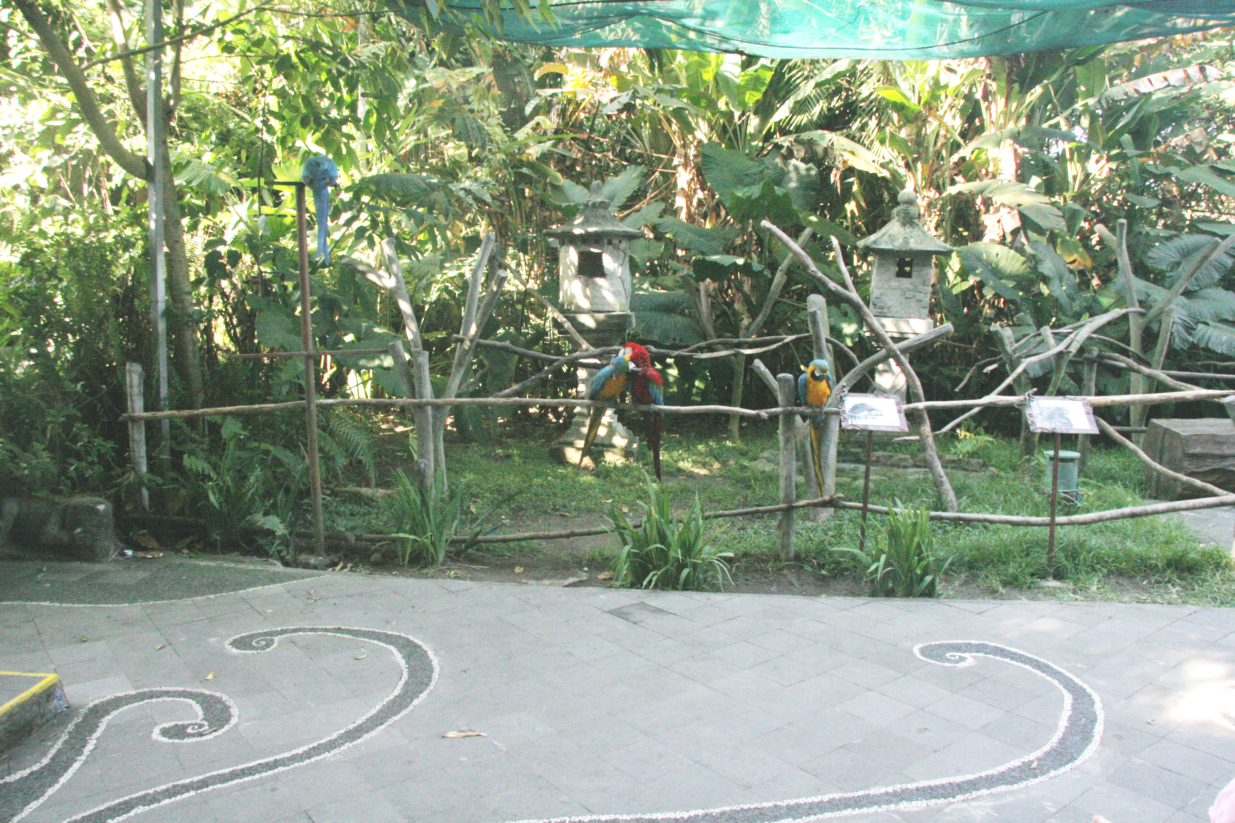 2012-07-02-00781.JPG
