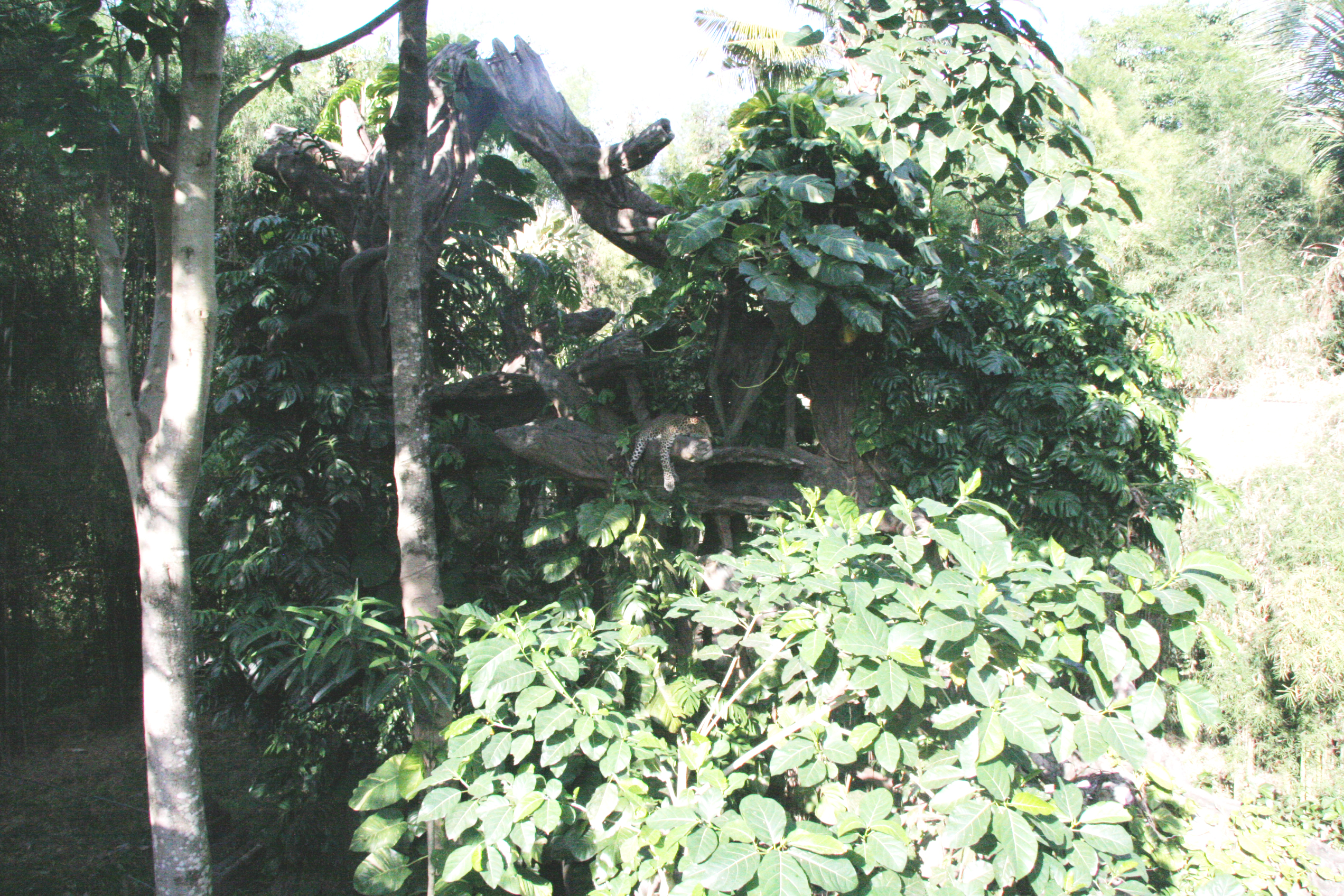 2012-07-02-00787.JPG